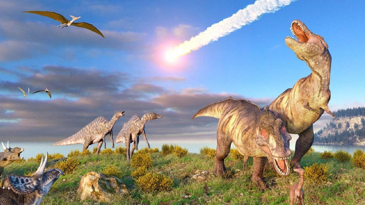 Le Big Bang Des Dinosaures 2007 movie scene