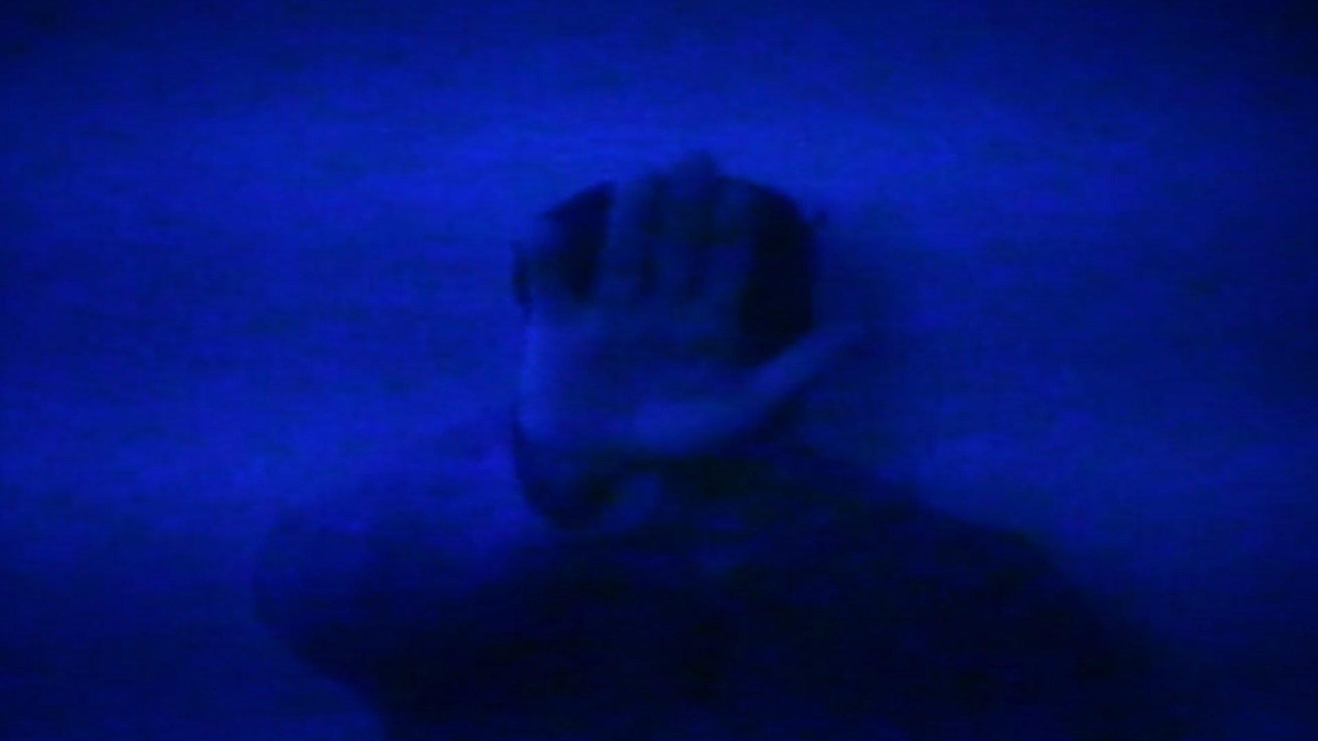 HSP: There Is No Escape from the Terrors Of the Mind 2013 movie scene