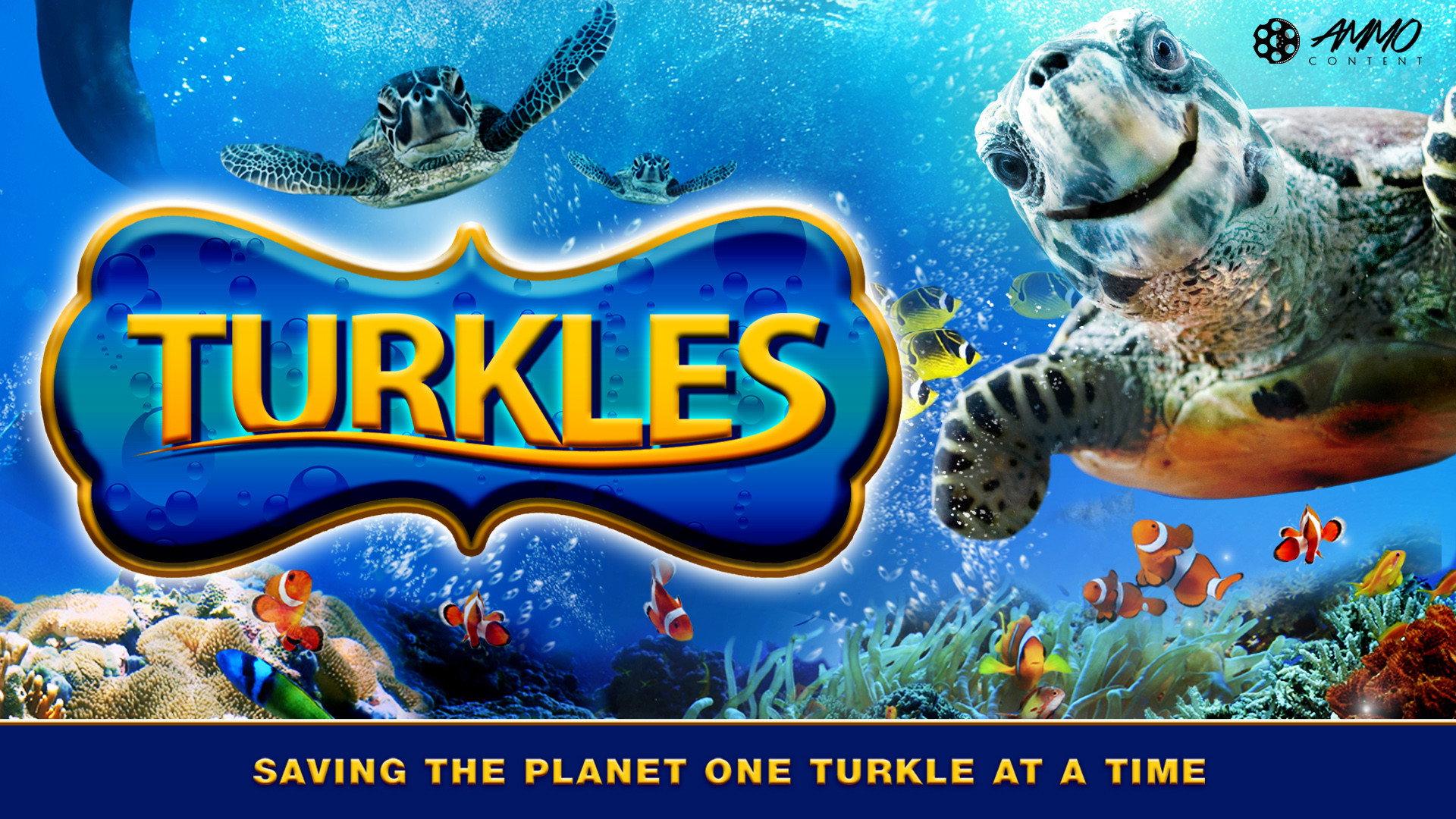 Turkles 2011 movie scene