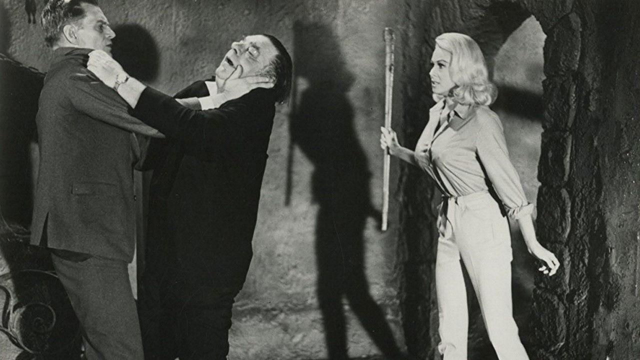 Hillbillys in a Haunted House 1967 movie scene
