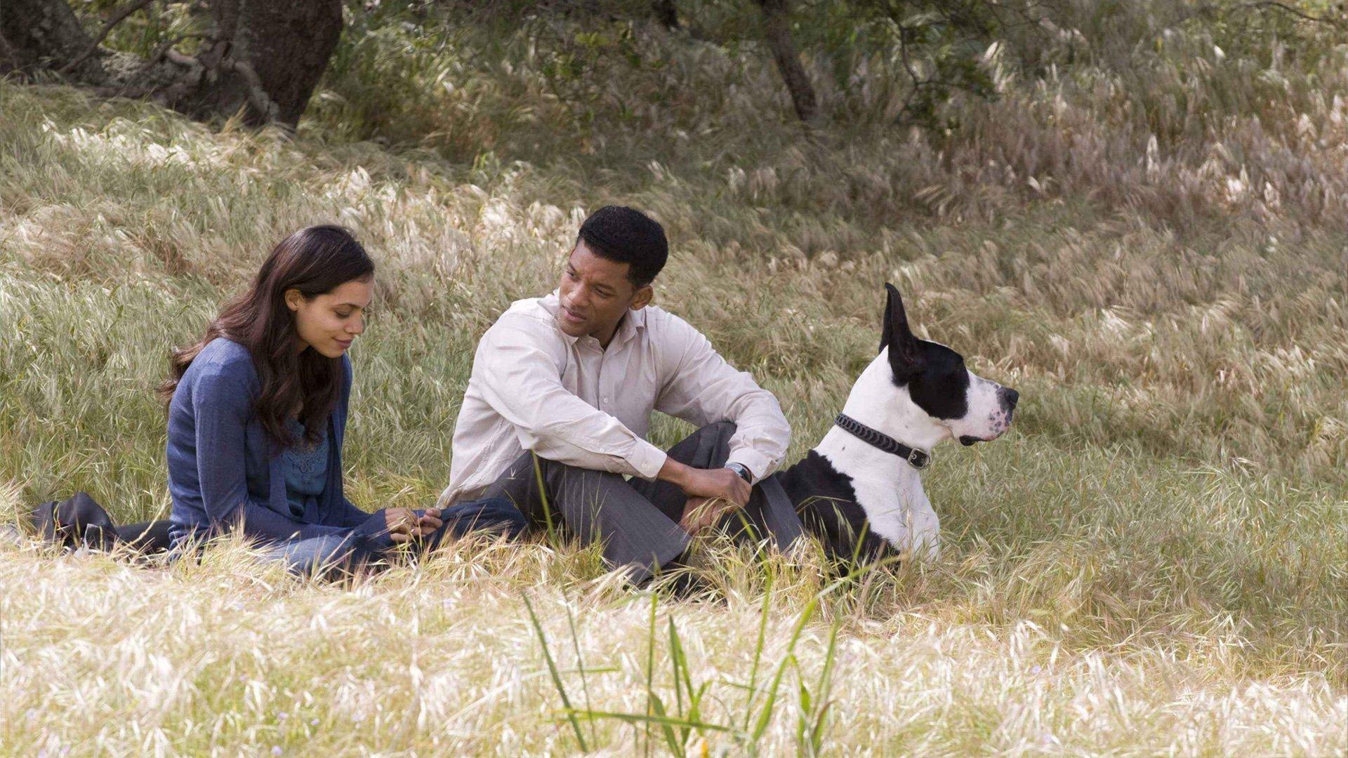 Seven Pounds 2008 movie scene