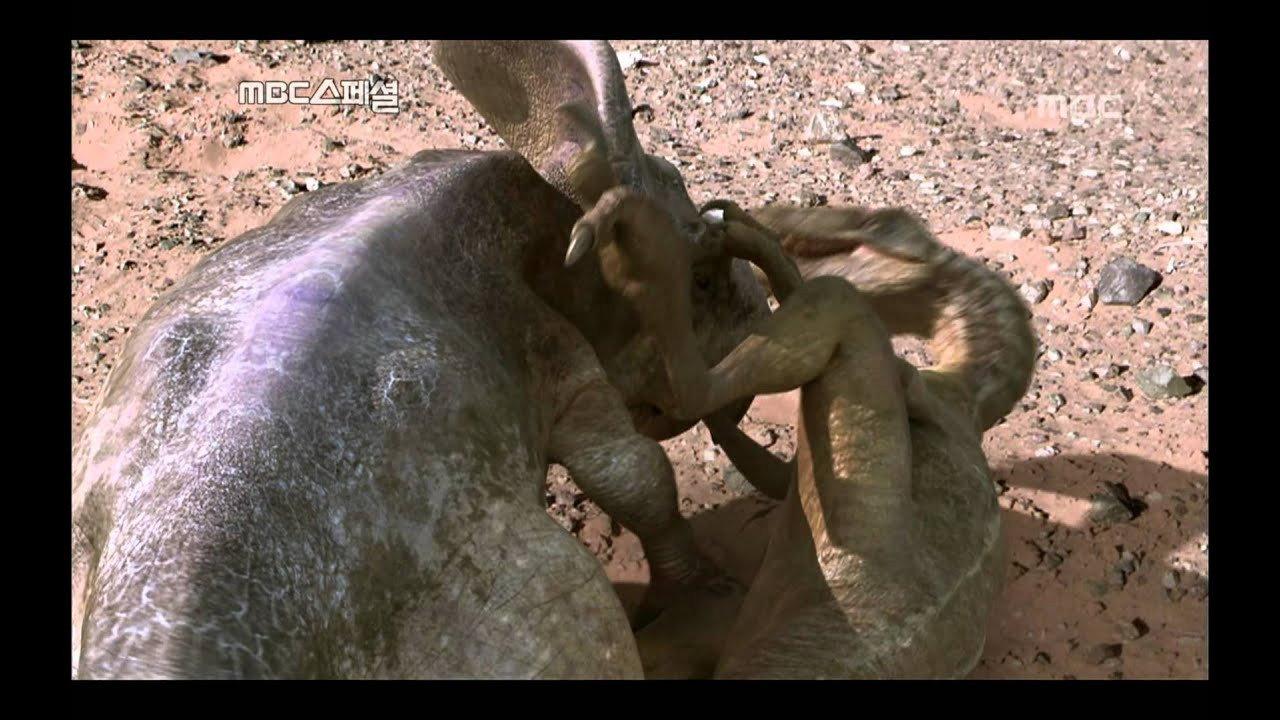 The land of dinosaurs  movie scene