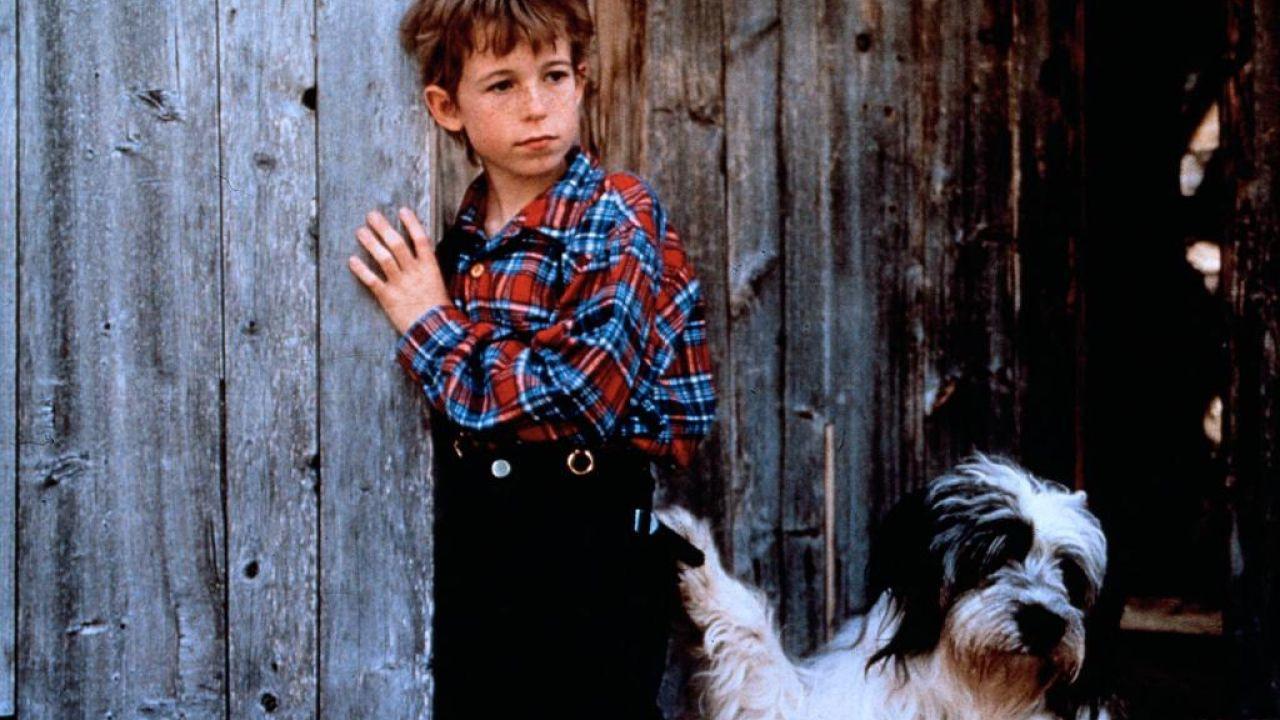 Weihnachten mit Willy Wuff 1994 movie scene