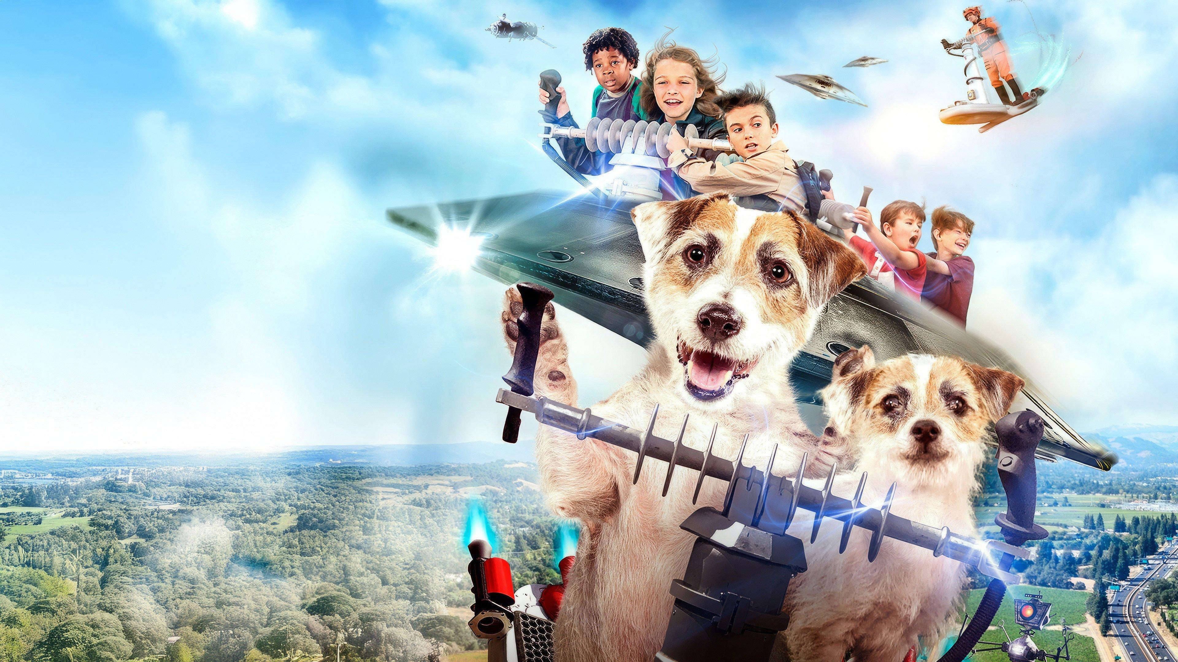 A Doggone Adventure 2018 movie scene