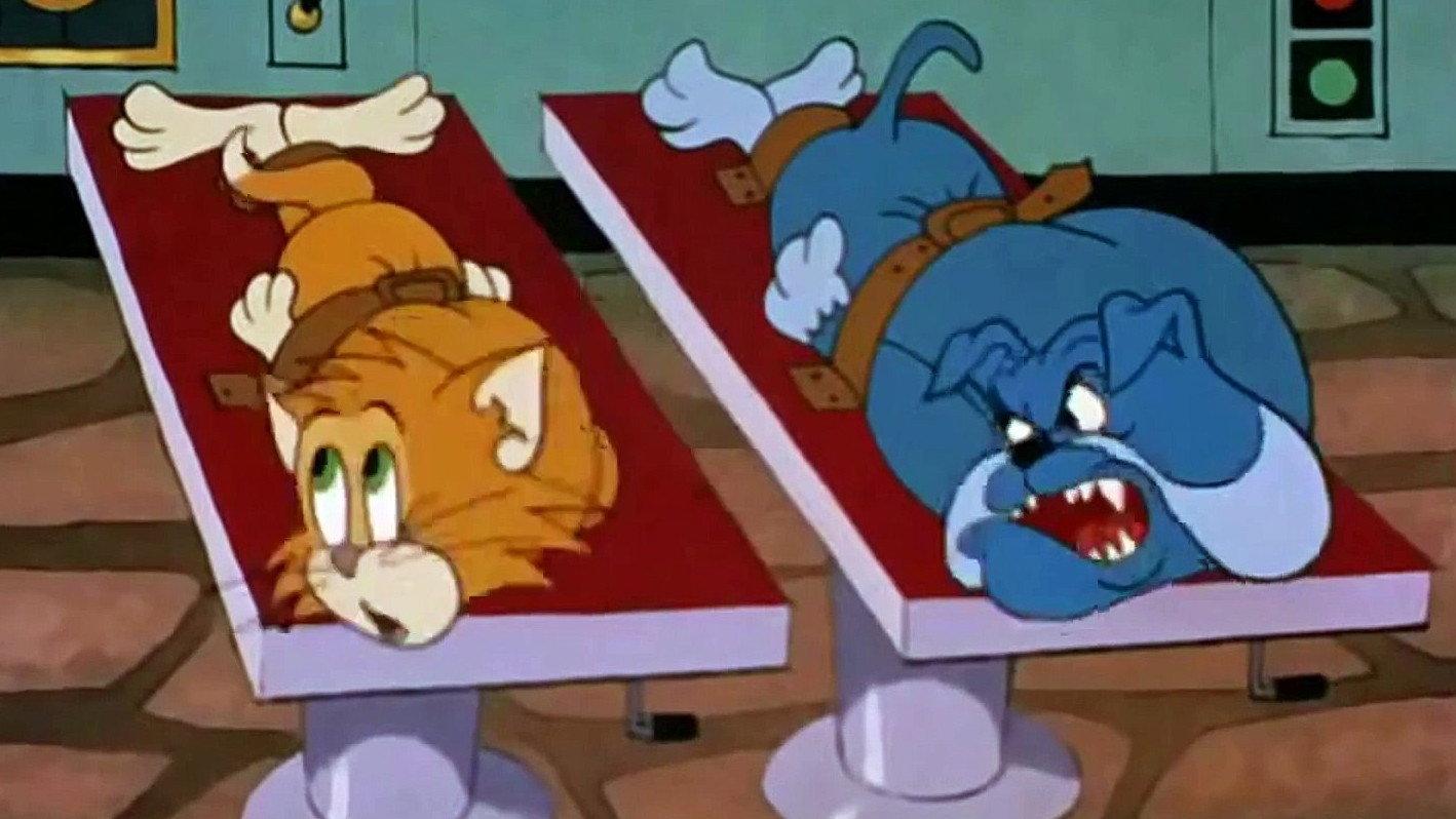 Switchin' Kitten 1961 movie scene