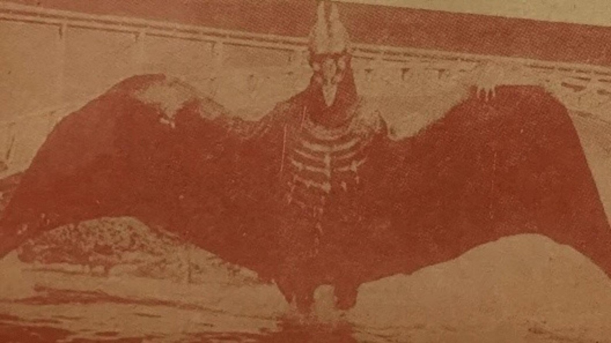 Bloodthirsty Hawk 1977 movie scene