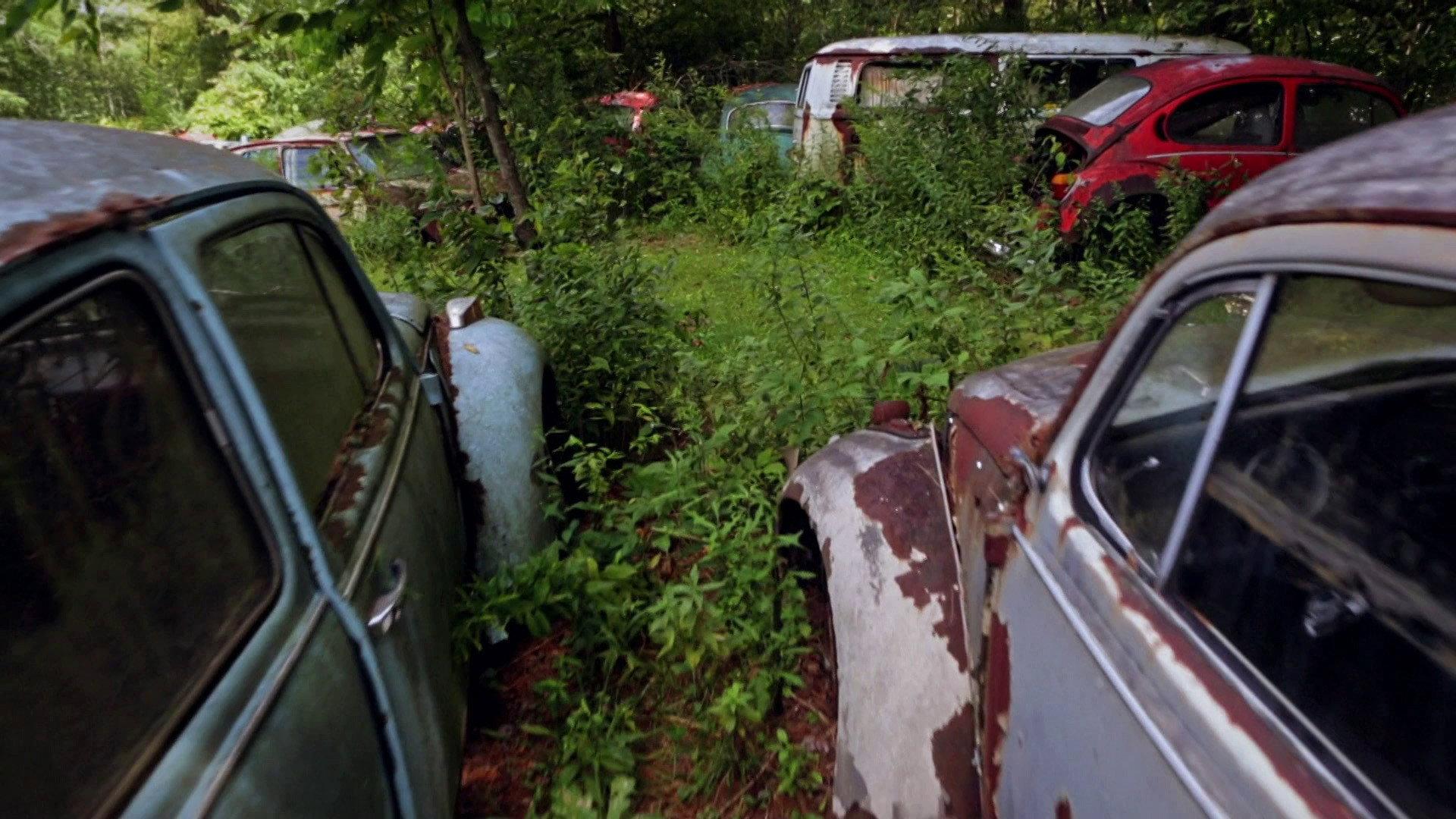 The Bug: Life and Times of the People's Car 2016 movie scene
