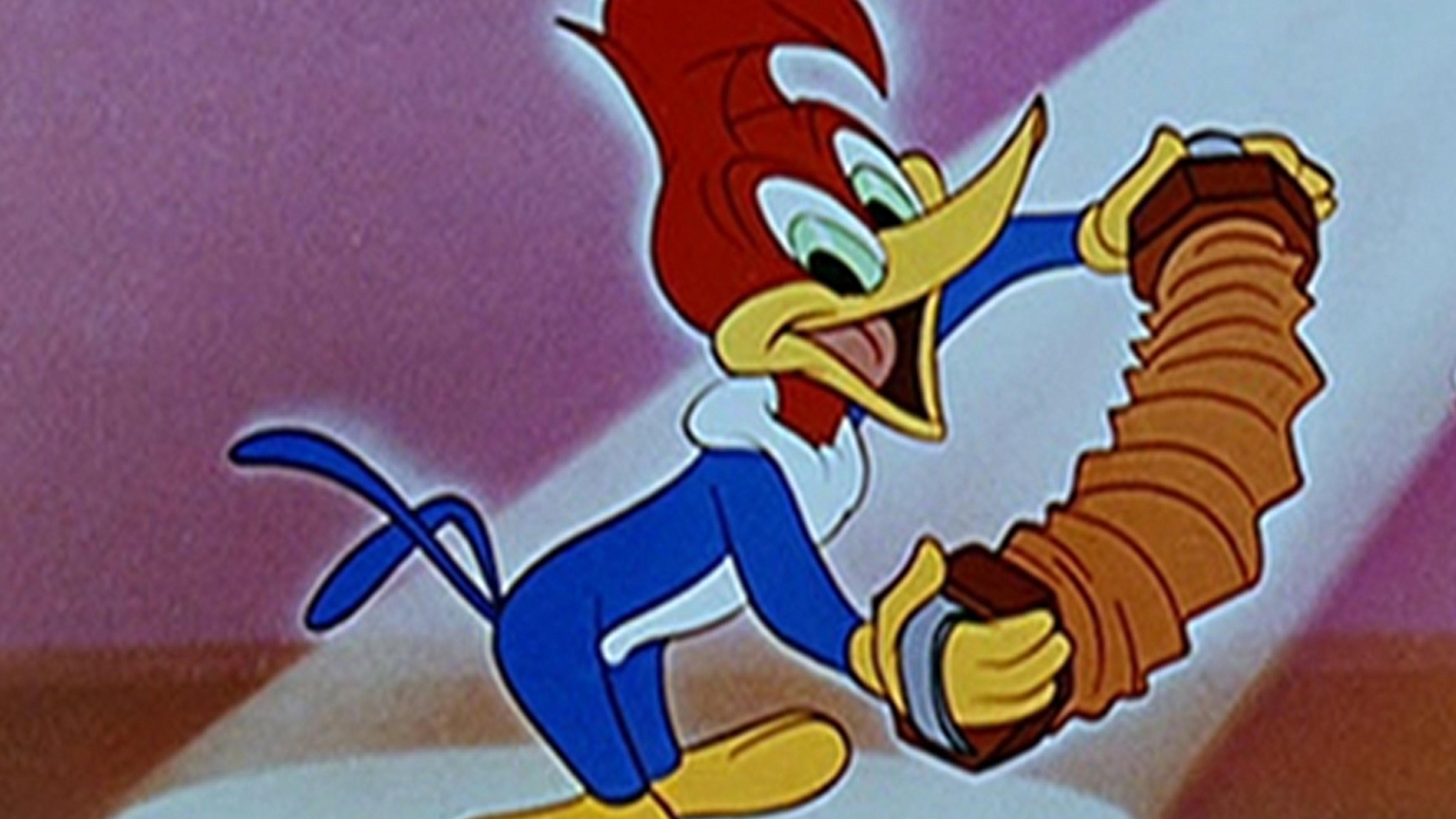 The Woody Woodpecker and Friends Classic Cartoon Collection 2007 movie scene
