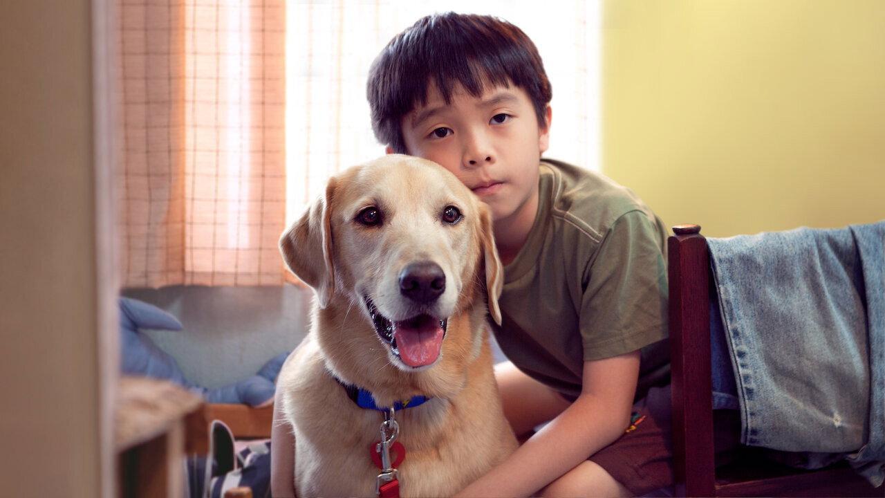 My Dog Dou Dou 2012 movie scene