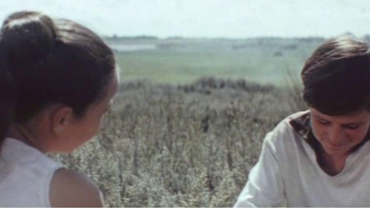 The Fifteenth Spring 1971 movie scene