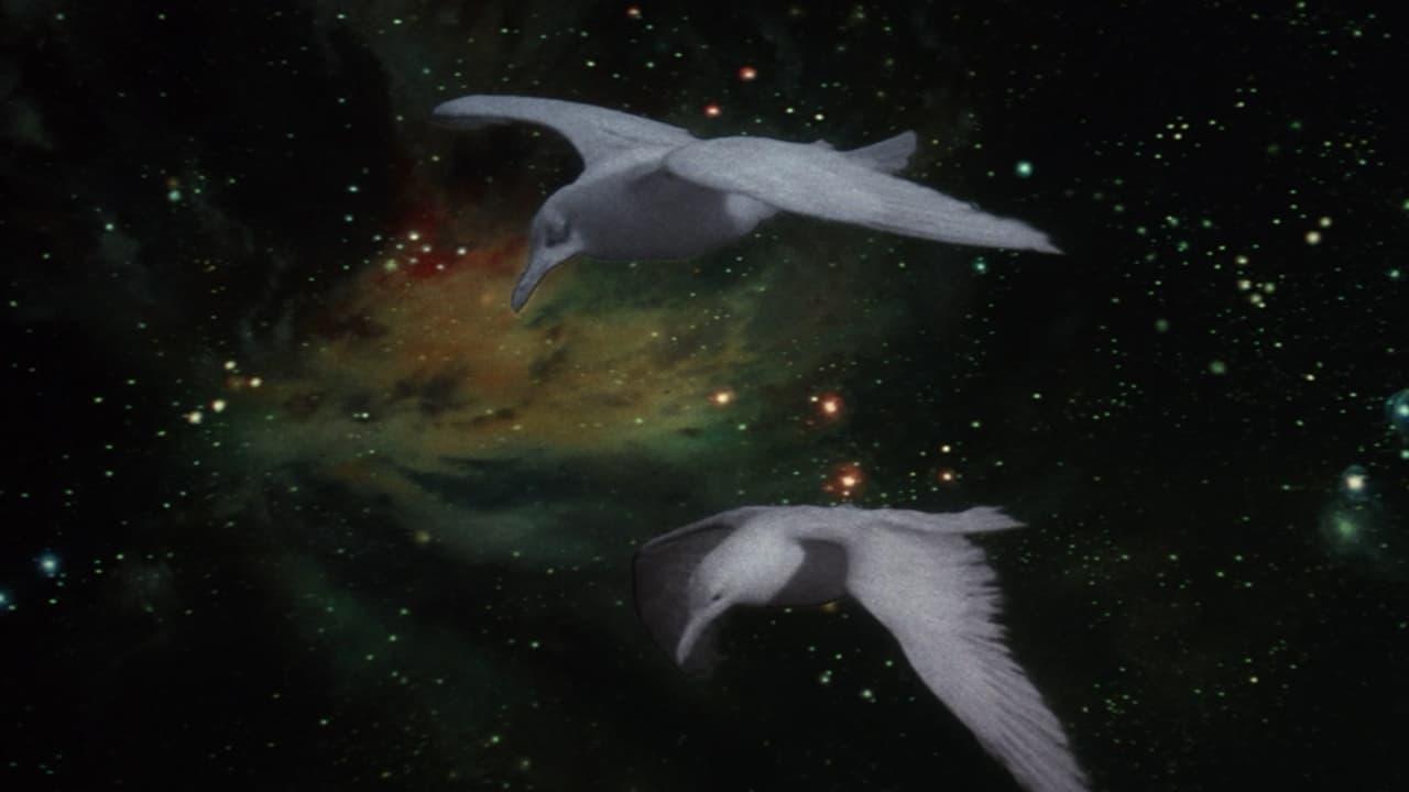 Jonathan Livingston Seagull 1973 movie scene