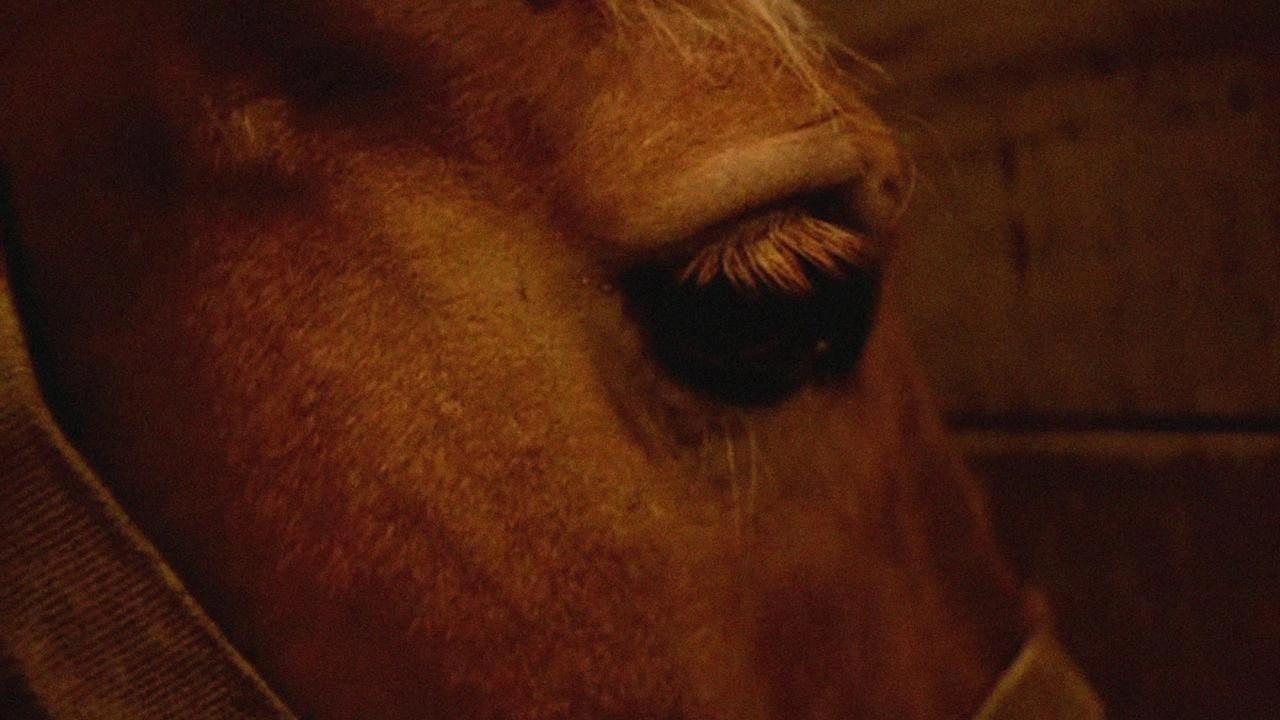 Elegy 1966 movie scene
