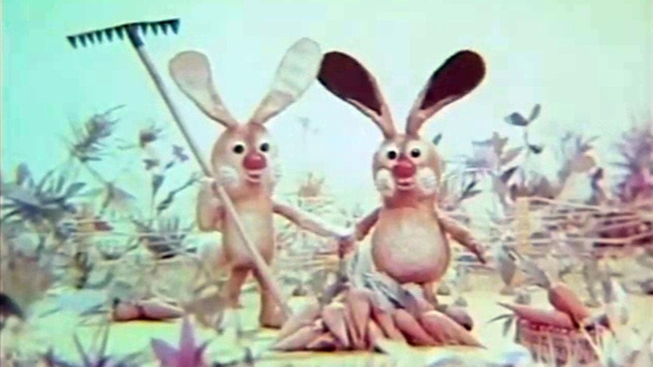 Bunny with Glasses 1980 movie scene