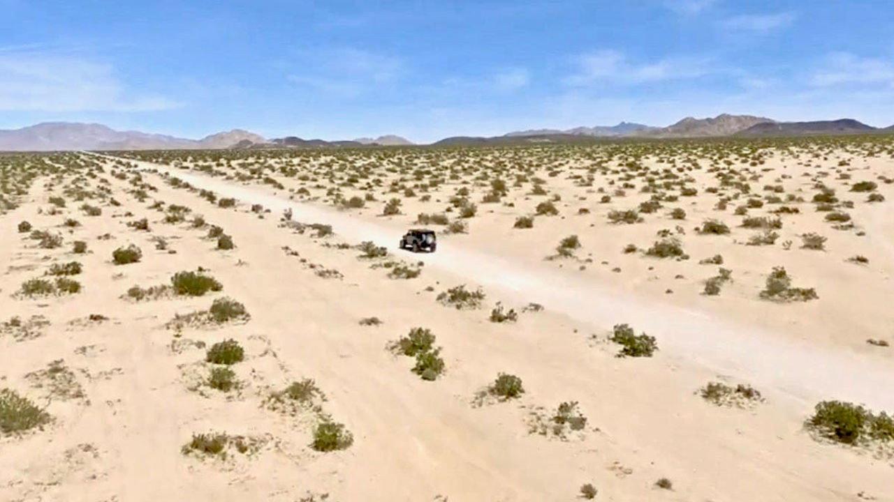 Principles of Curiosity 2017 movie scene