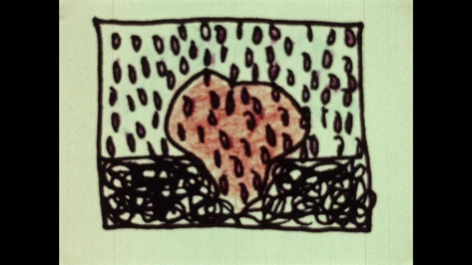Rain Seeds 1976 movie scene