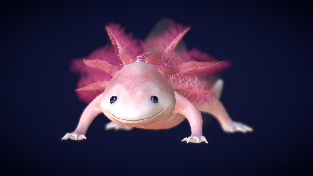 Axolotl, la salamandre miraculeuse 2024 movie scene
