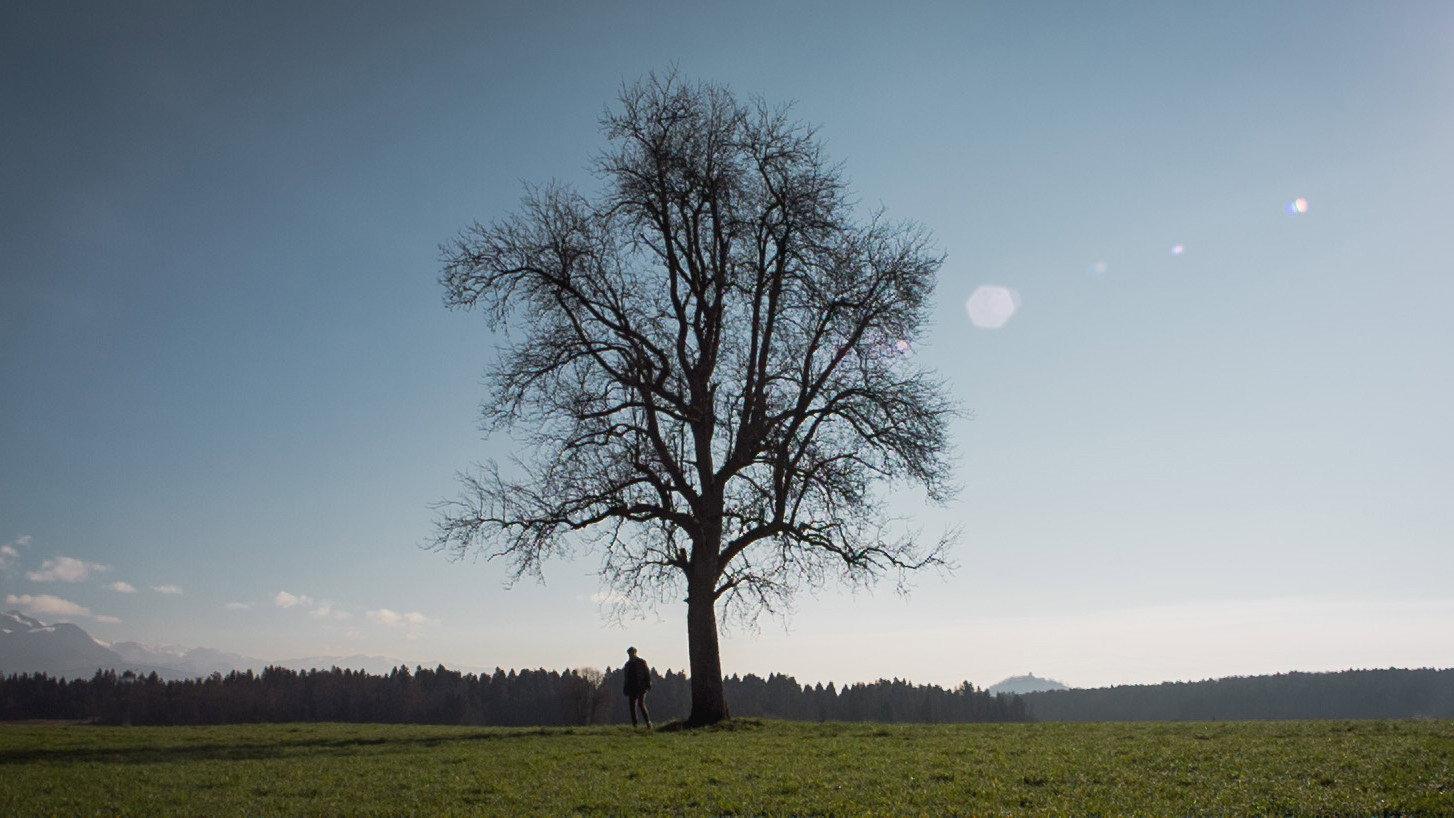 Outside 2015 movie scene