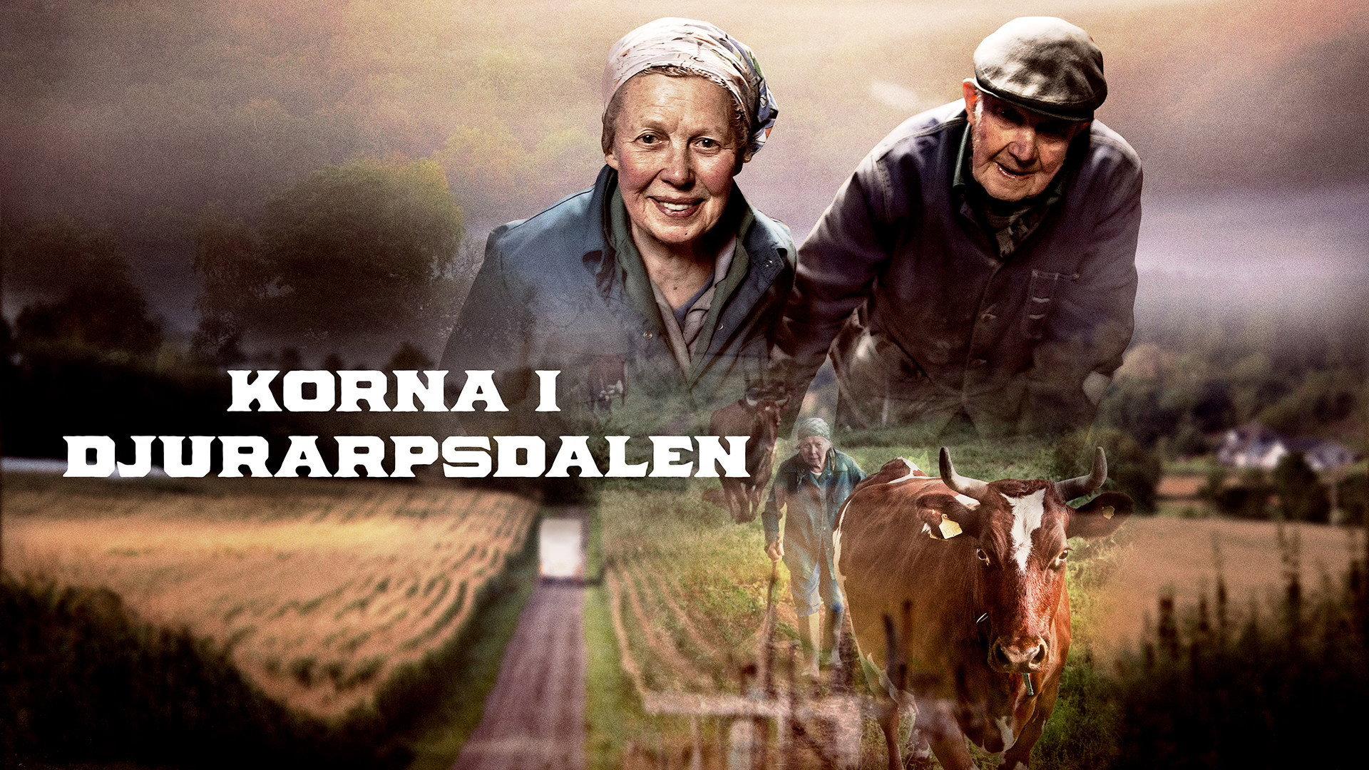 Korna i Djurarpsdalen 2018 movie scene