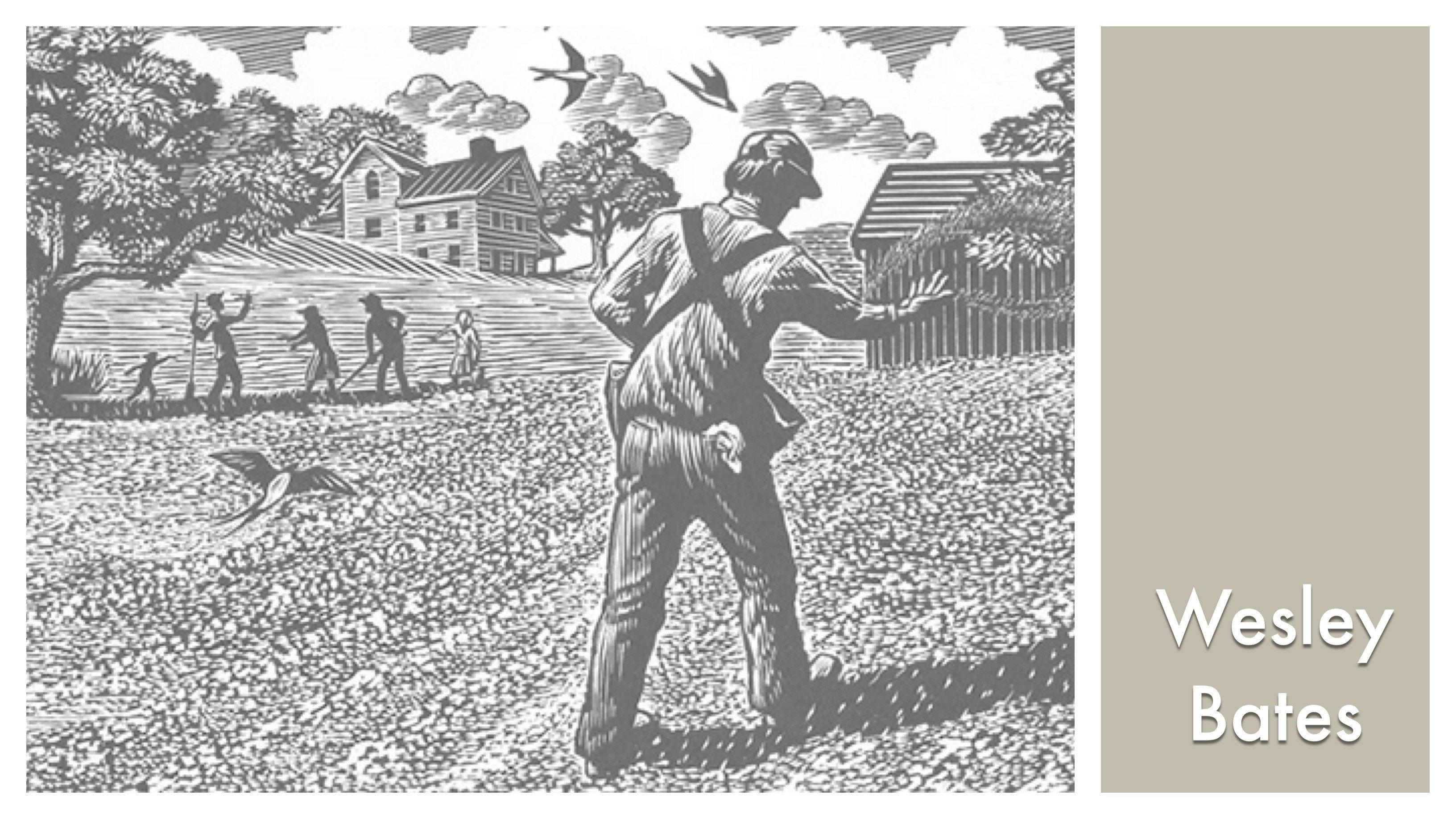 LOOK & SEE:  Wesley W. Bates - Wood Engraver 2017 movie scene