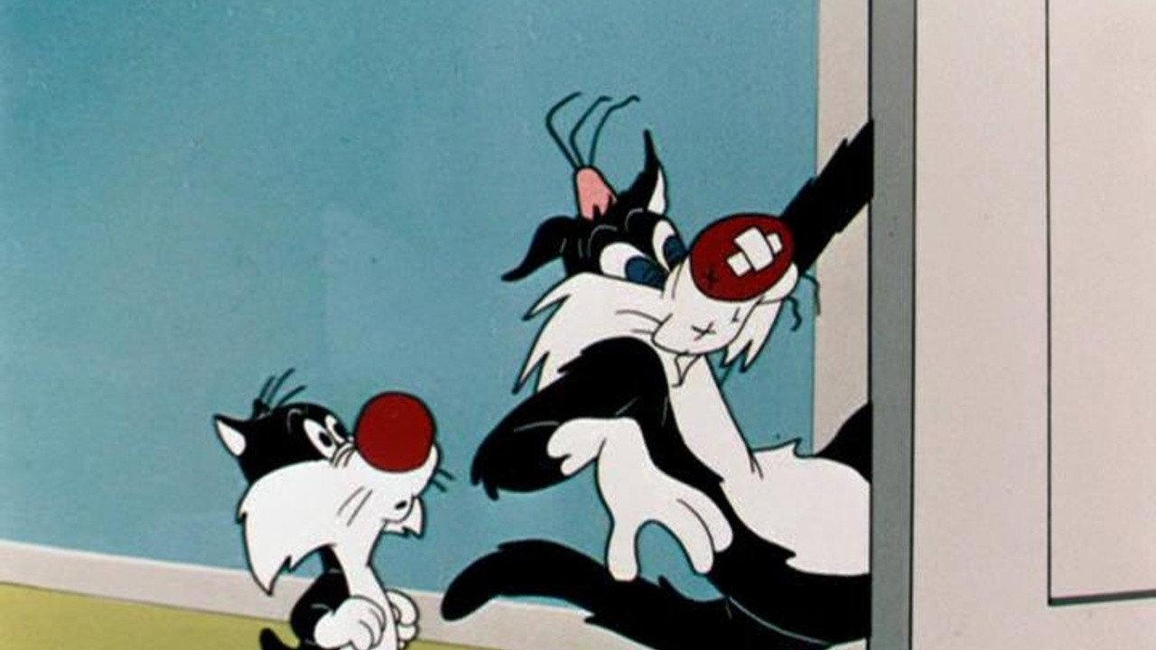 Who's Kitten Who? 1952 movie scene