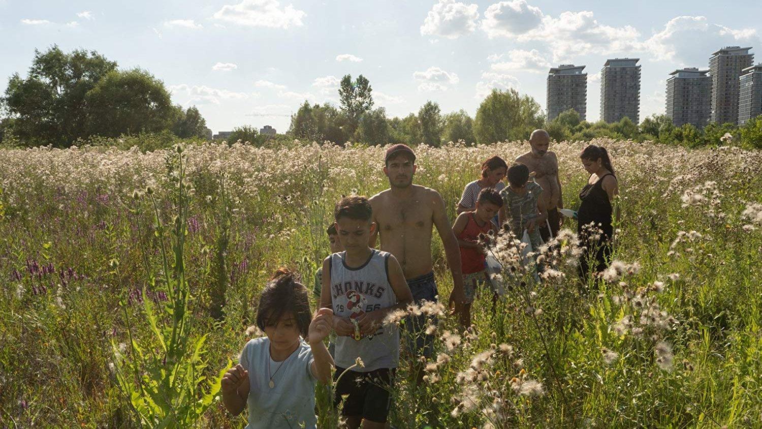 Acasă, My Home 2020 movie scene
