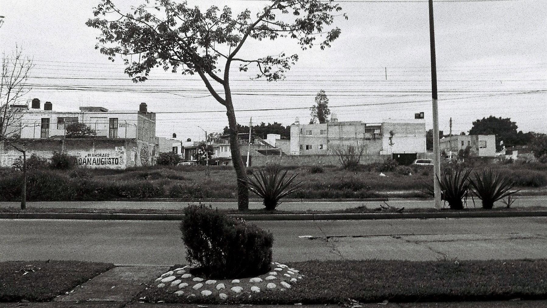 significantes, tres de cinco 2024 movie scene