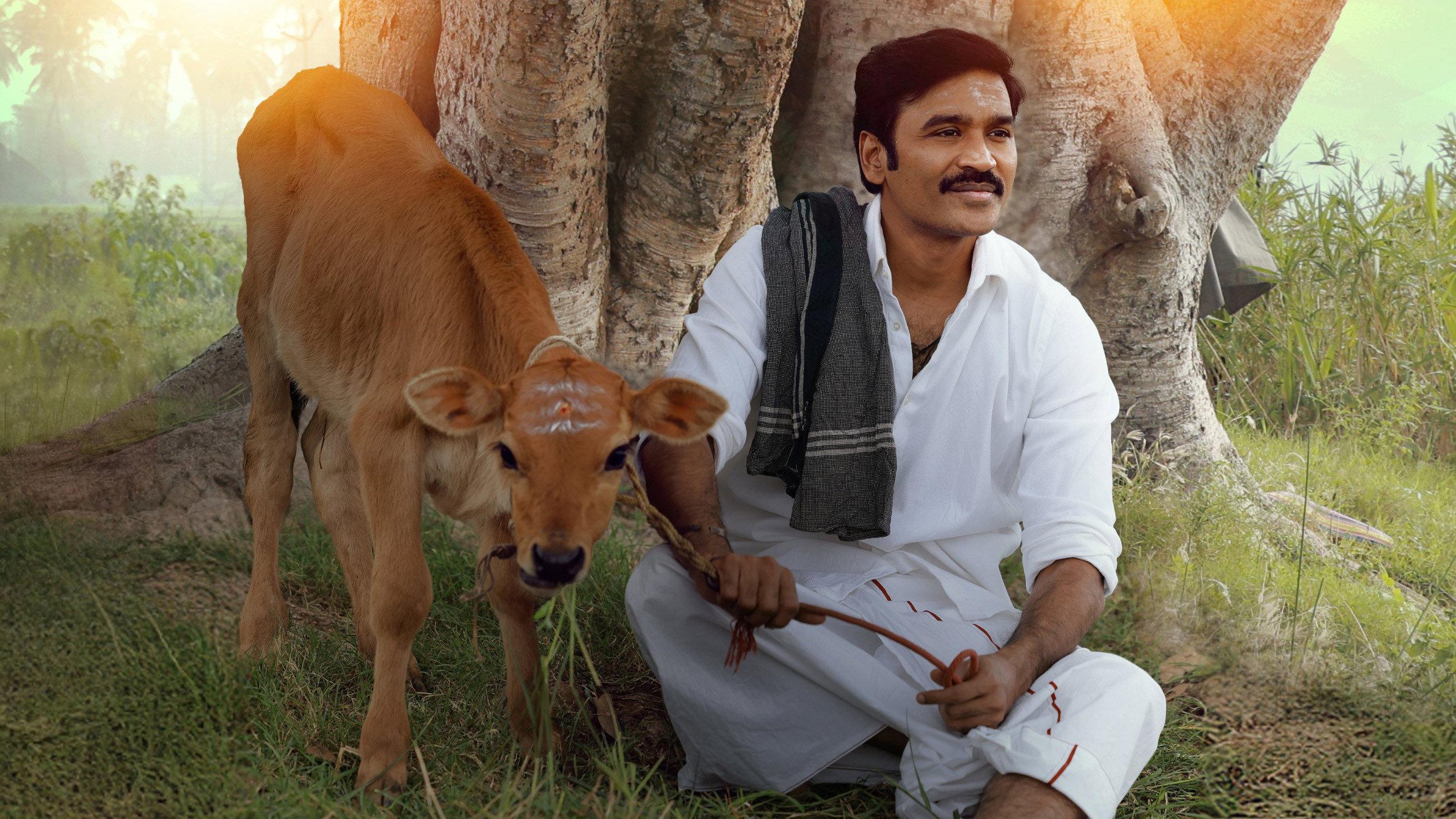 Idli Kadai 2025 movie scene