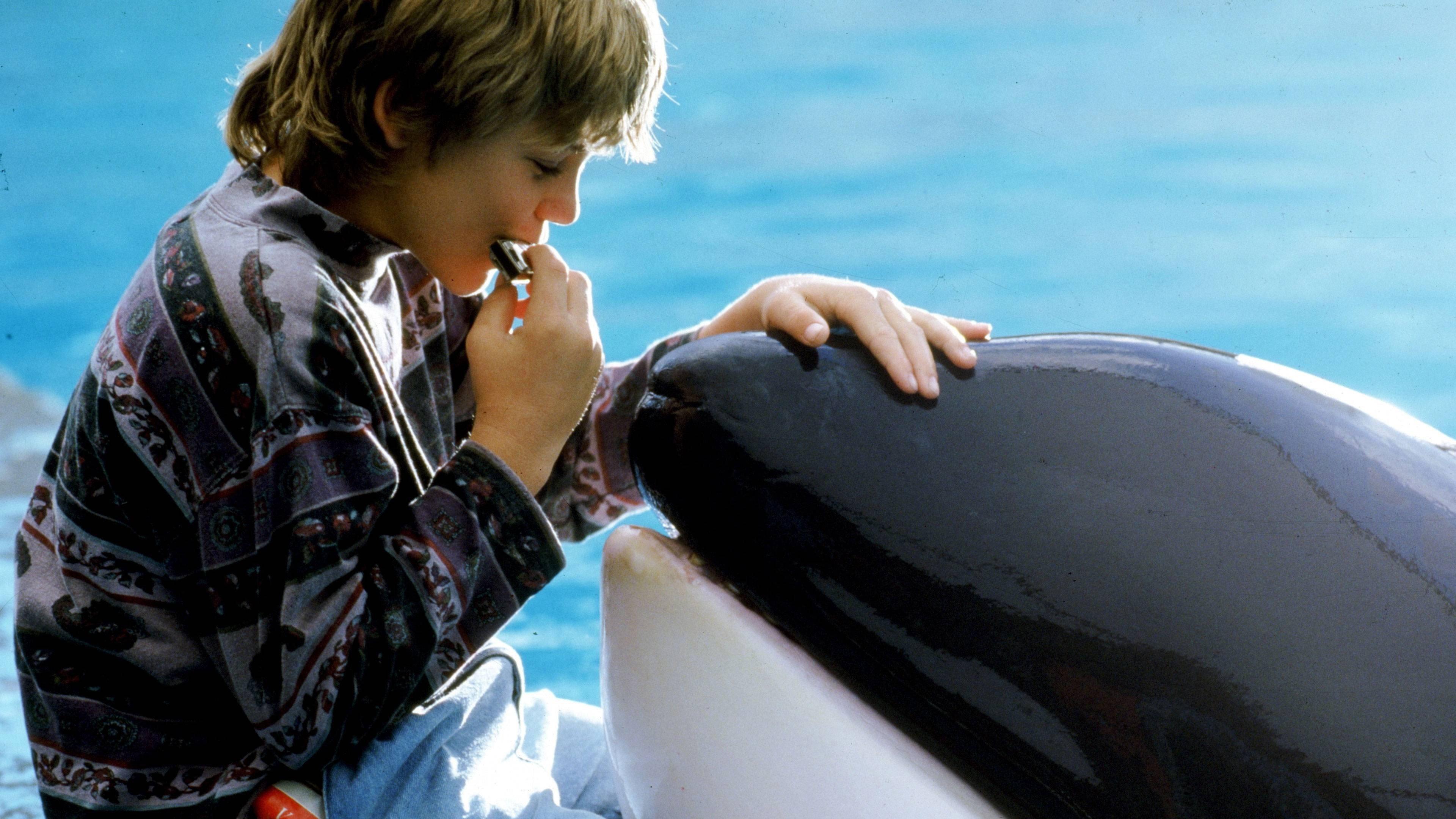 Free Willy 1993 movie scene