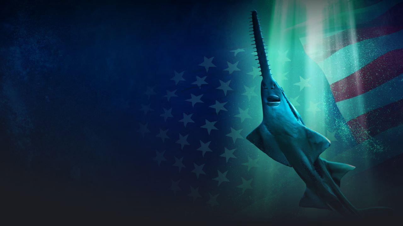 Alien Sharks: Untamed America 2026 movie scene