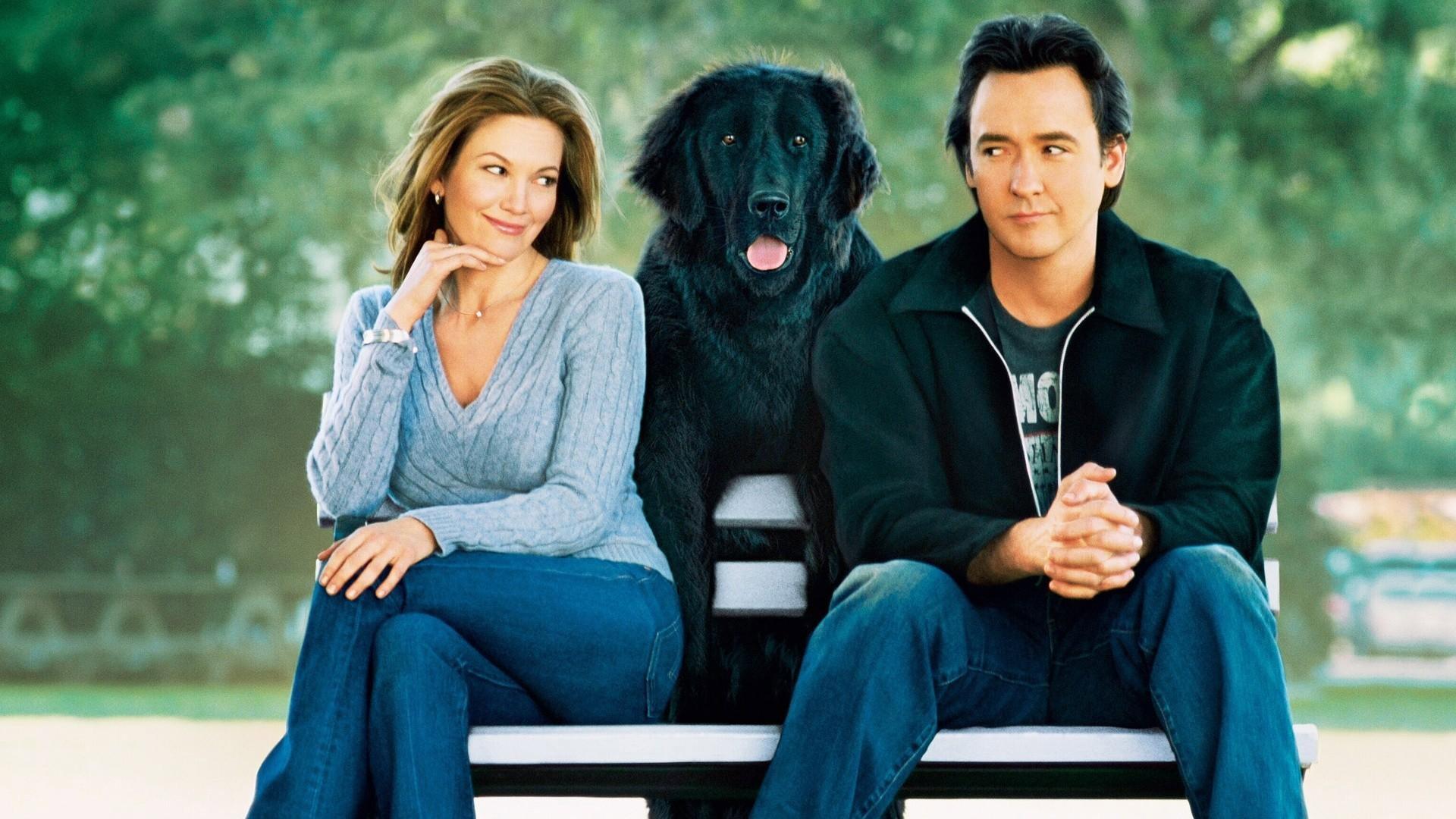 Must Love Dogs 2005 movie scene