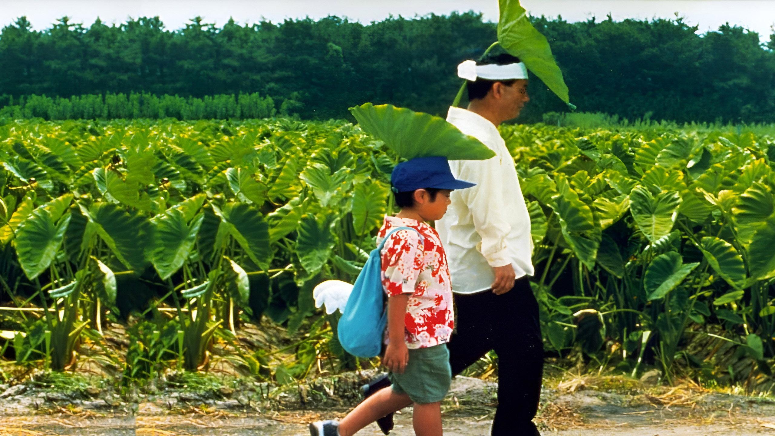 Kikujiro 1999 movie scene