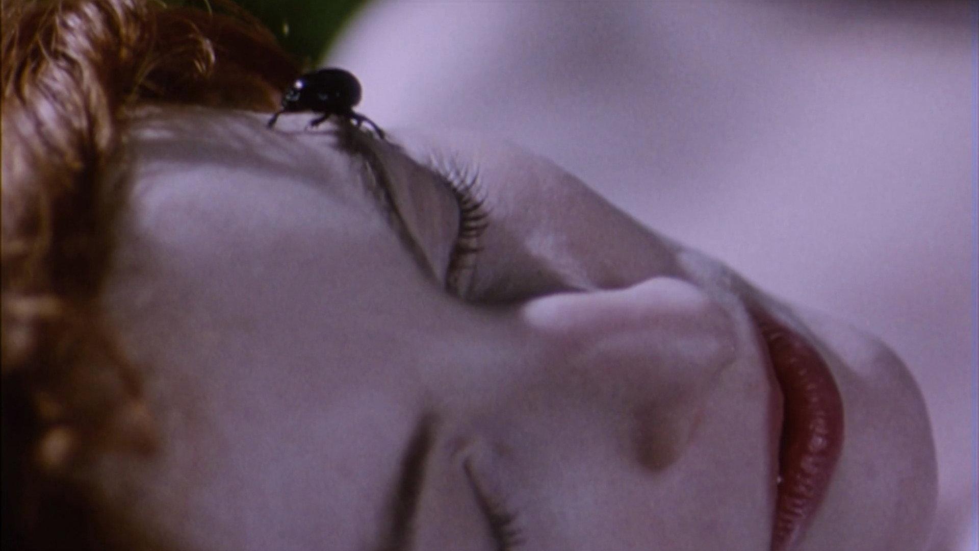 Belle de Nature 2009 movie scene