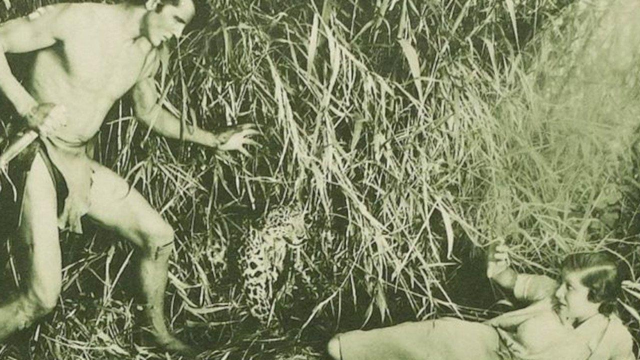 The New Adventures of Tarzan 1935 movie scene