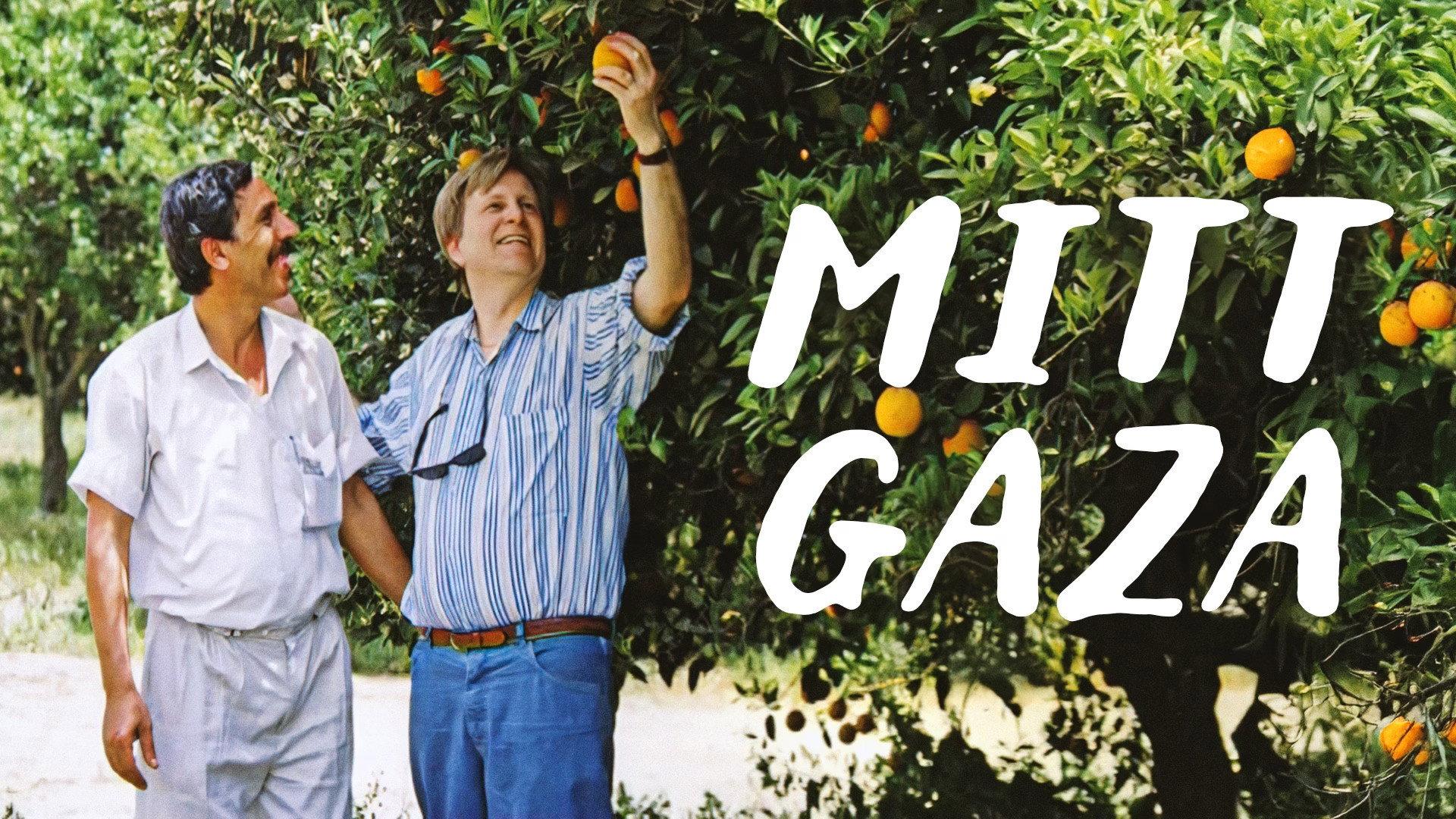 My Gaza 2009 movie scene