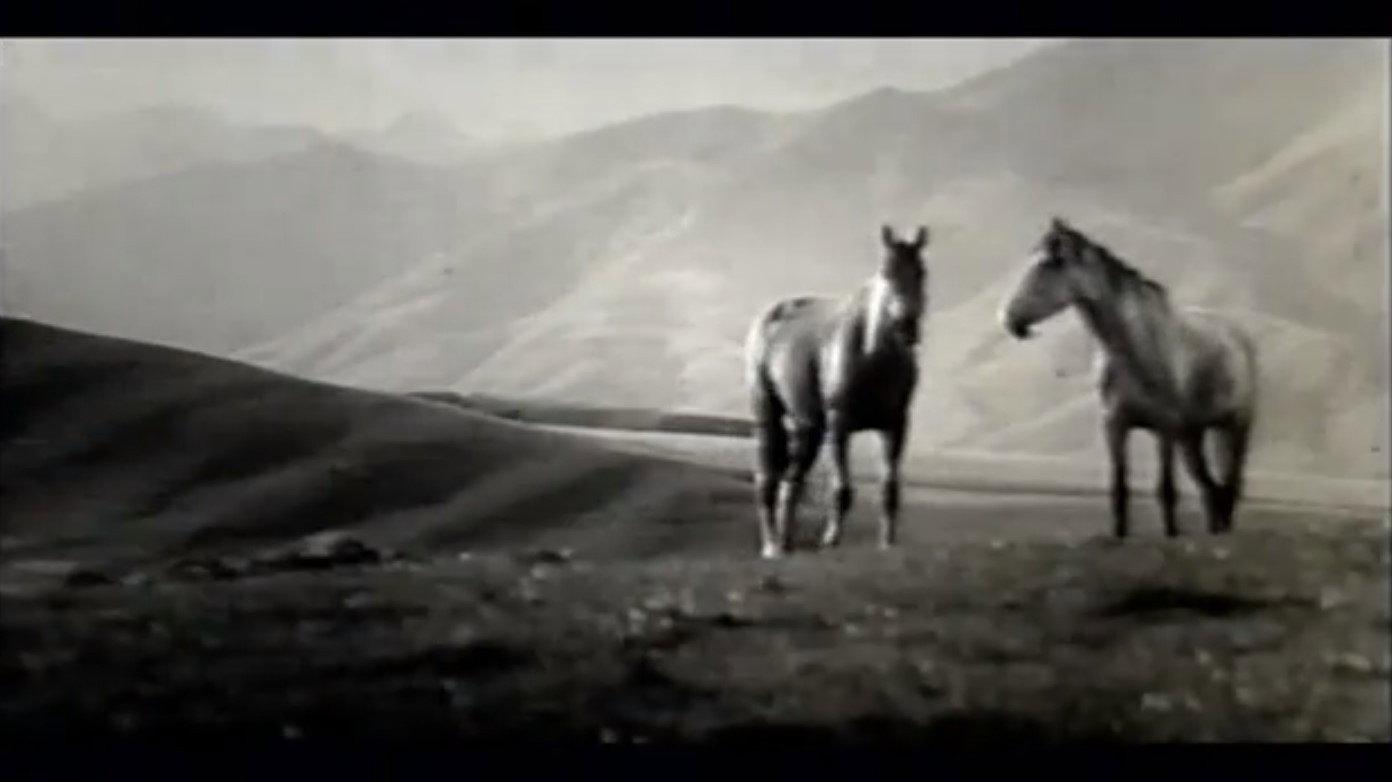 There Are Horses 1965 movie scene