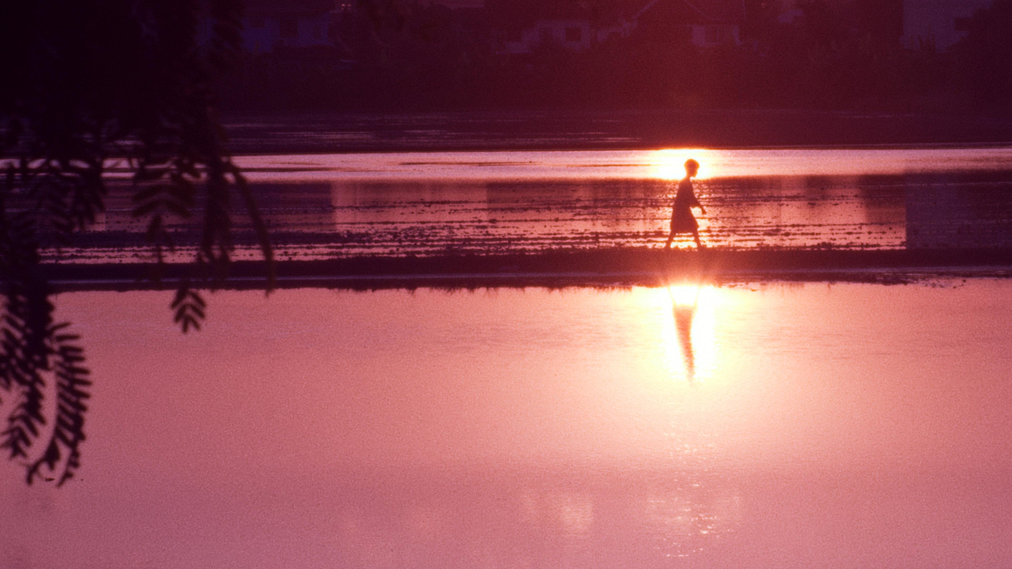 A Man and the Child 2024 movie scene
