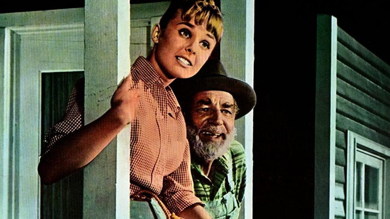 Tammy and the Millionaire 1967 movie scene