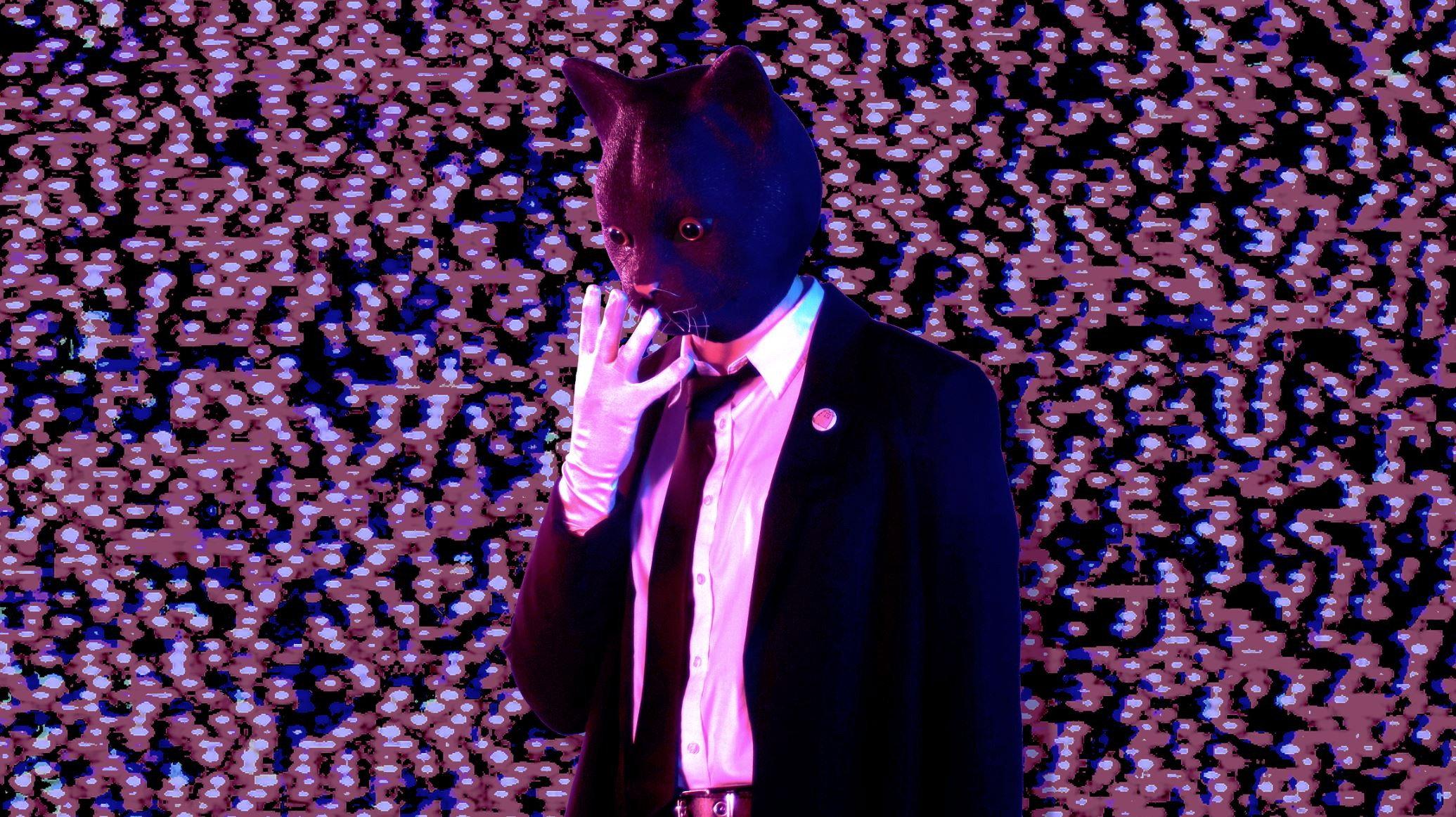 Cat Face 2023 movie scene