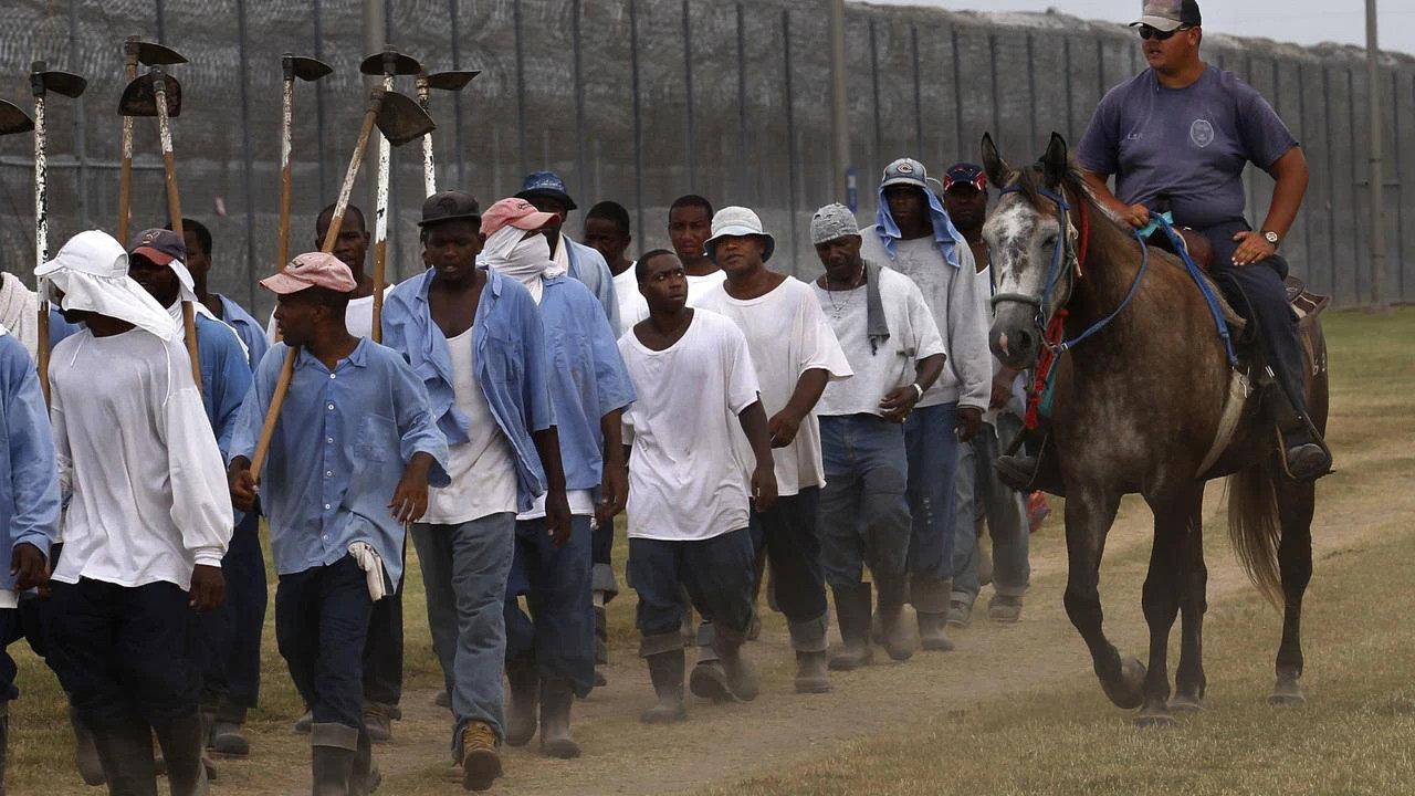The Farm: Angola, USA 1998 movie scene