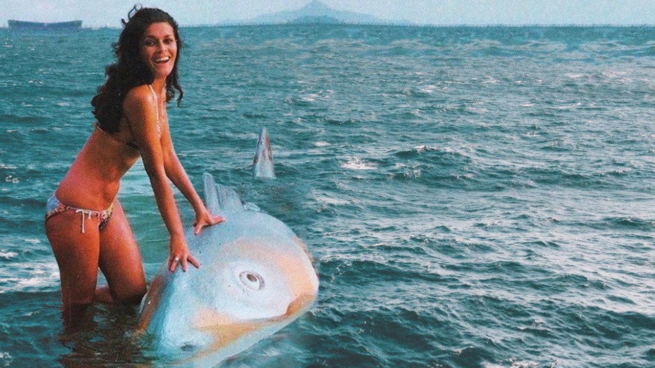 Codfish 1976 movie scene