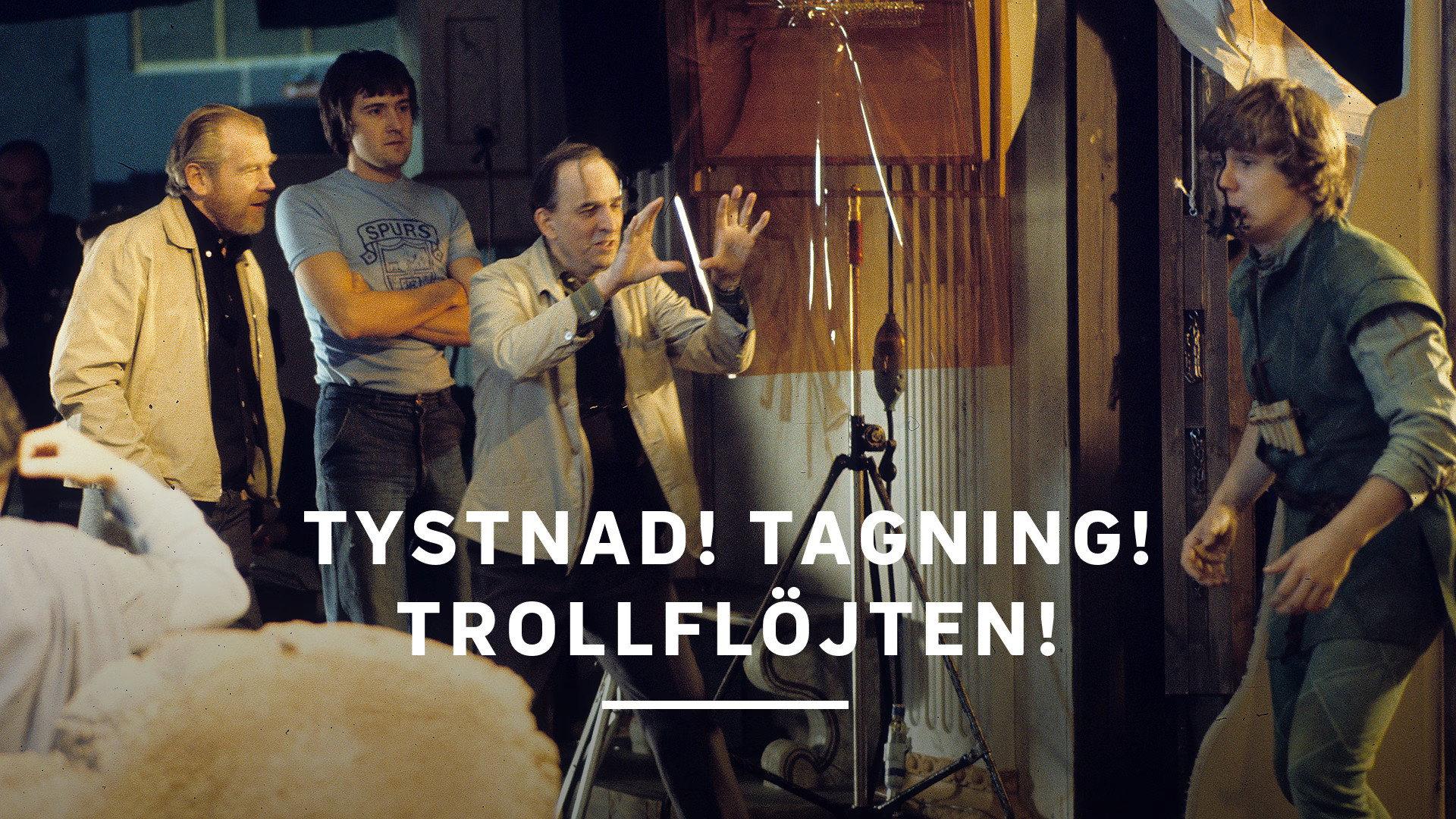 Silence! Cameras! The Magic Flute! 1975 movie scene