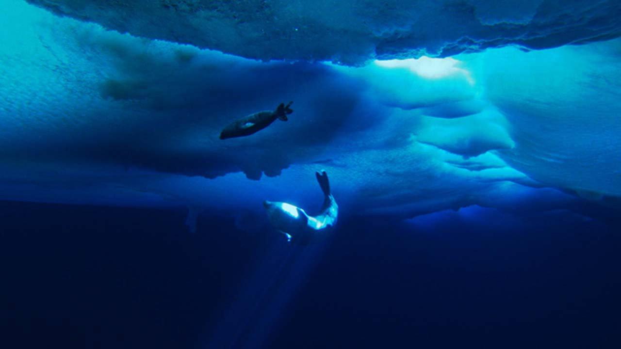 The Last Ocean 2012 movie scene