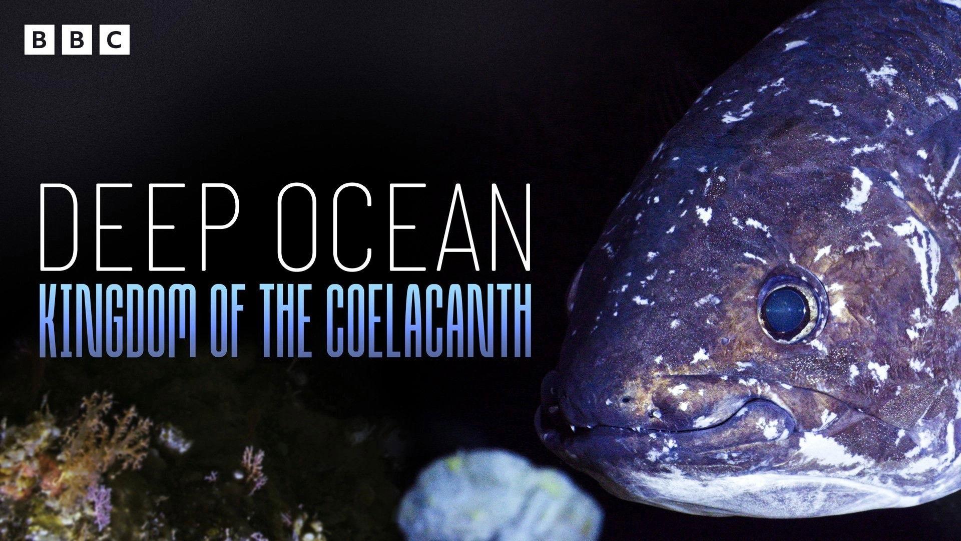 Deep Ocean: Kingdom of the Coelacanth 2026 movie scene