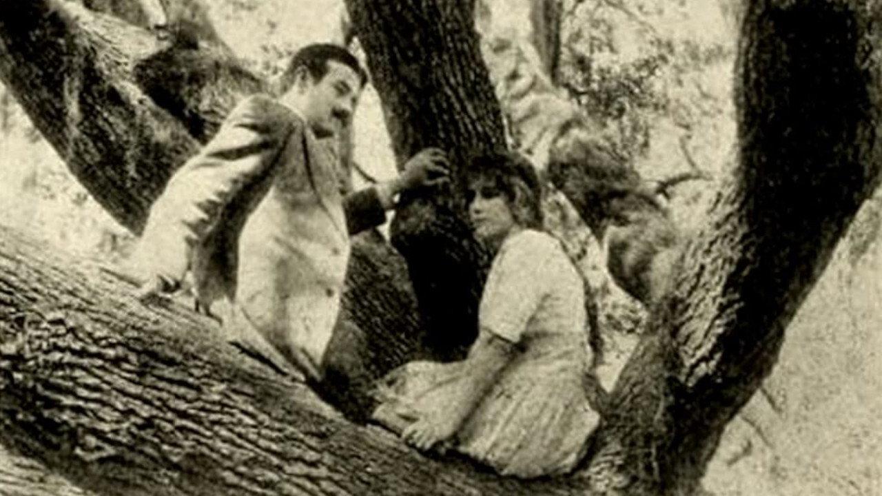 The Girl of the Grove 1912 movie scene