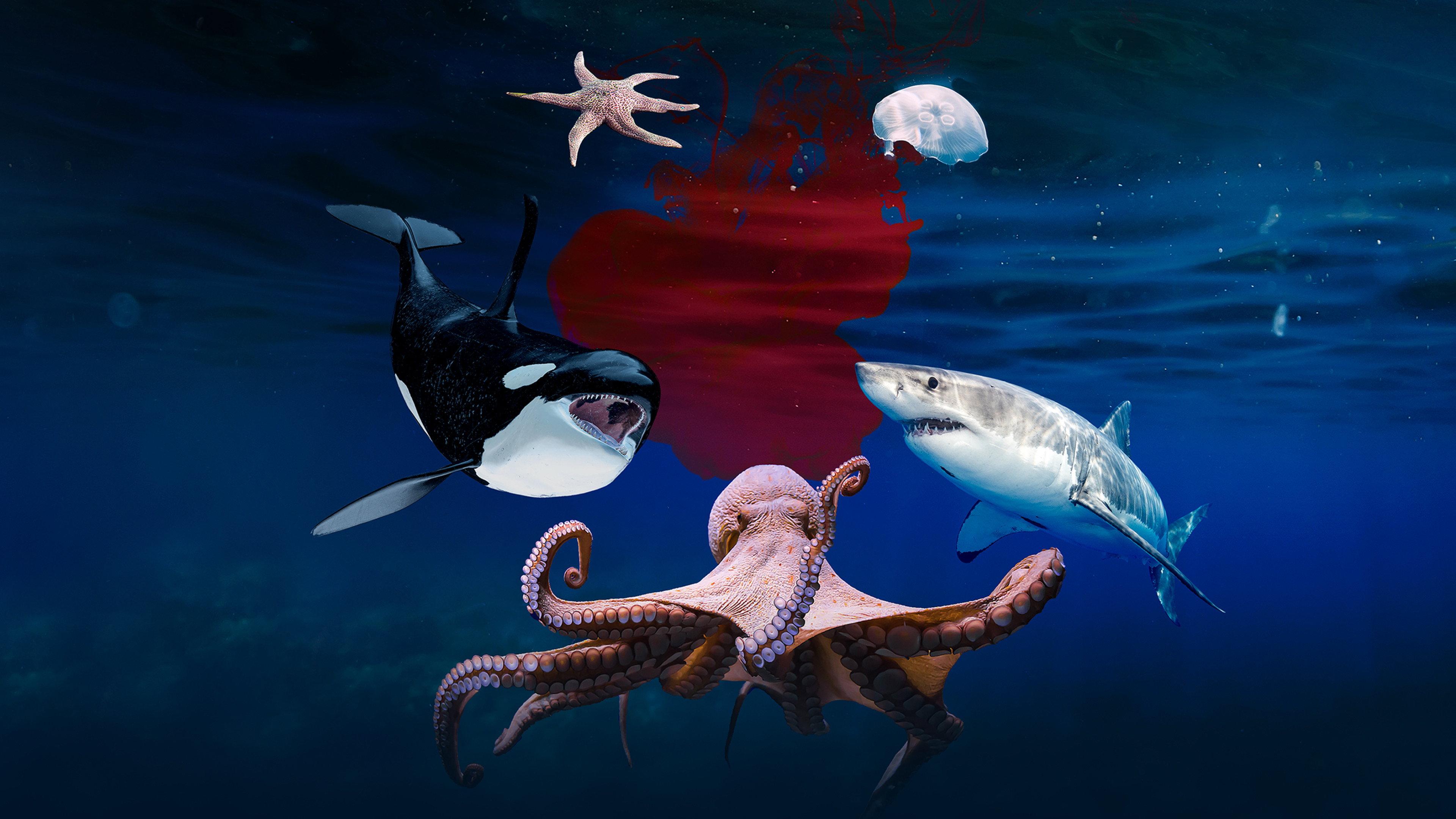 Deep Sea Killers 2017 movie scene