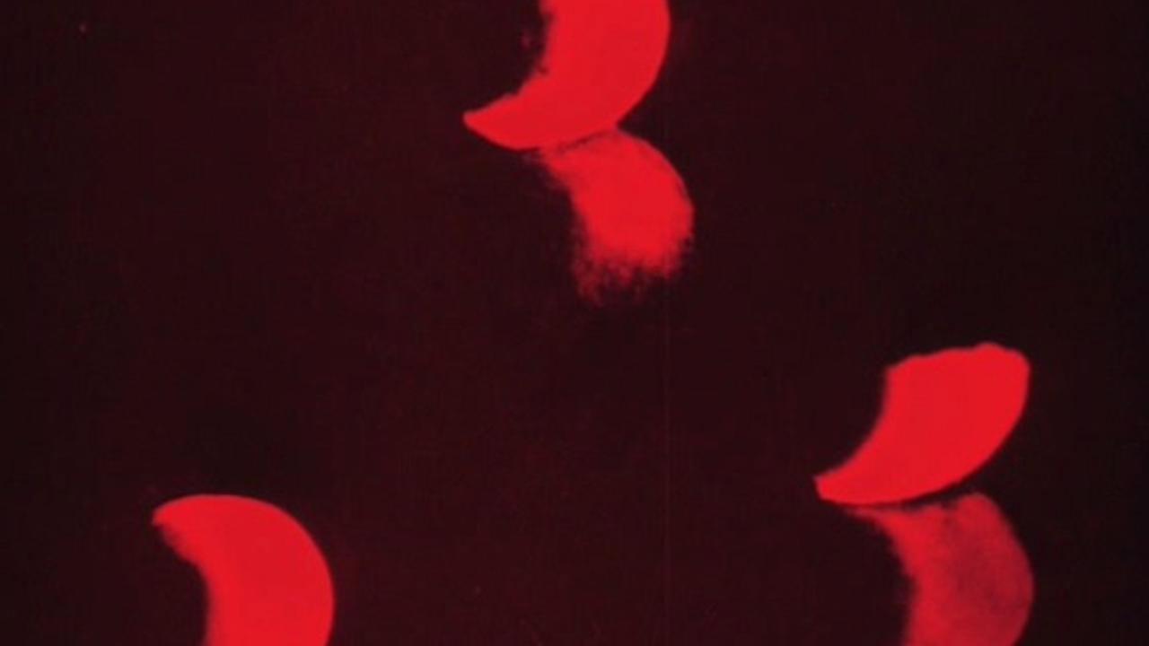 Lichtspiel: Opus I 1921 movie scene