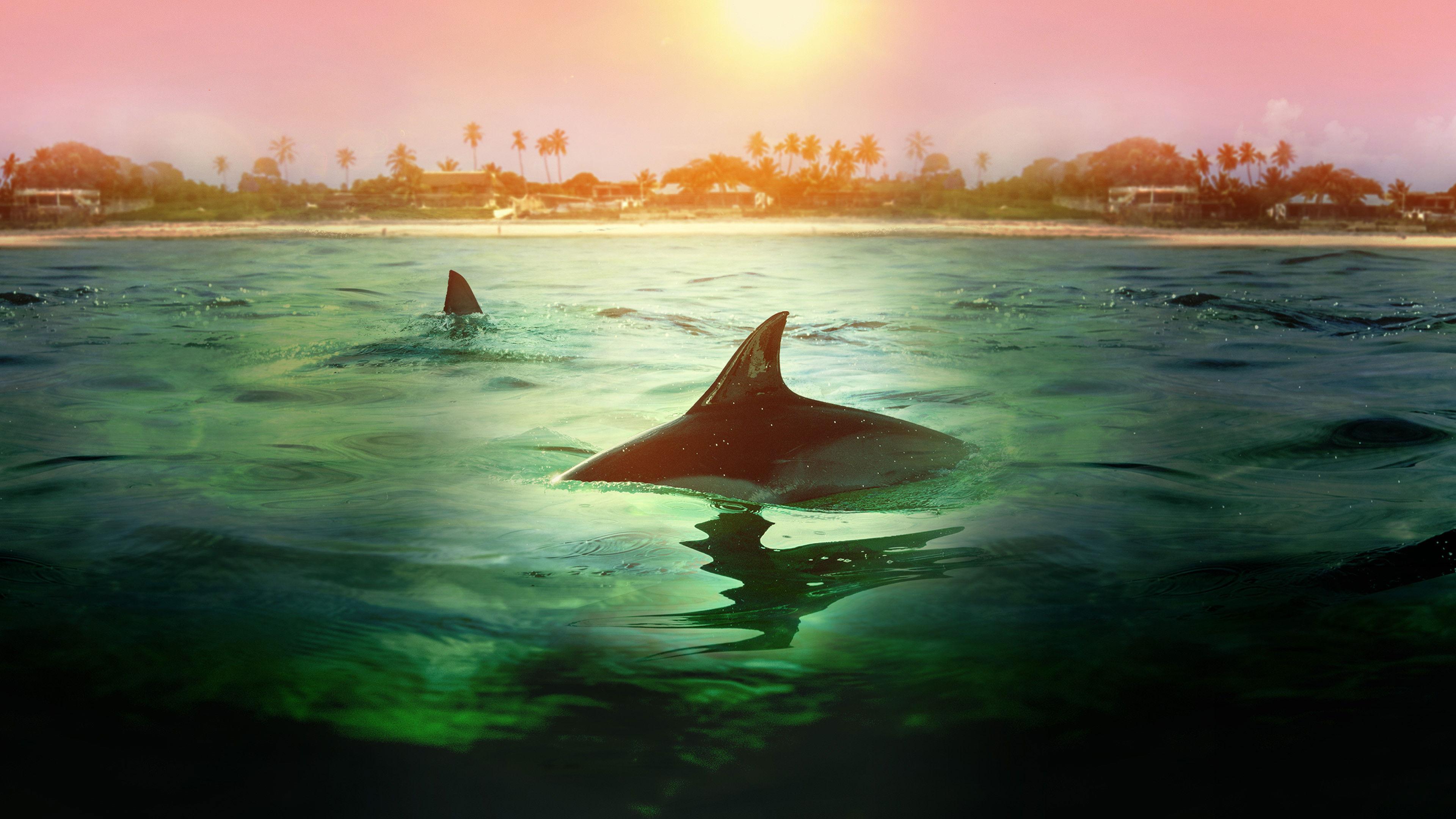 Sharks vs. Dolphins: Bahamas Battleground 2023 movie scene