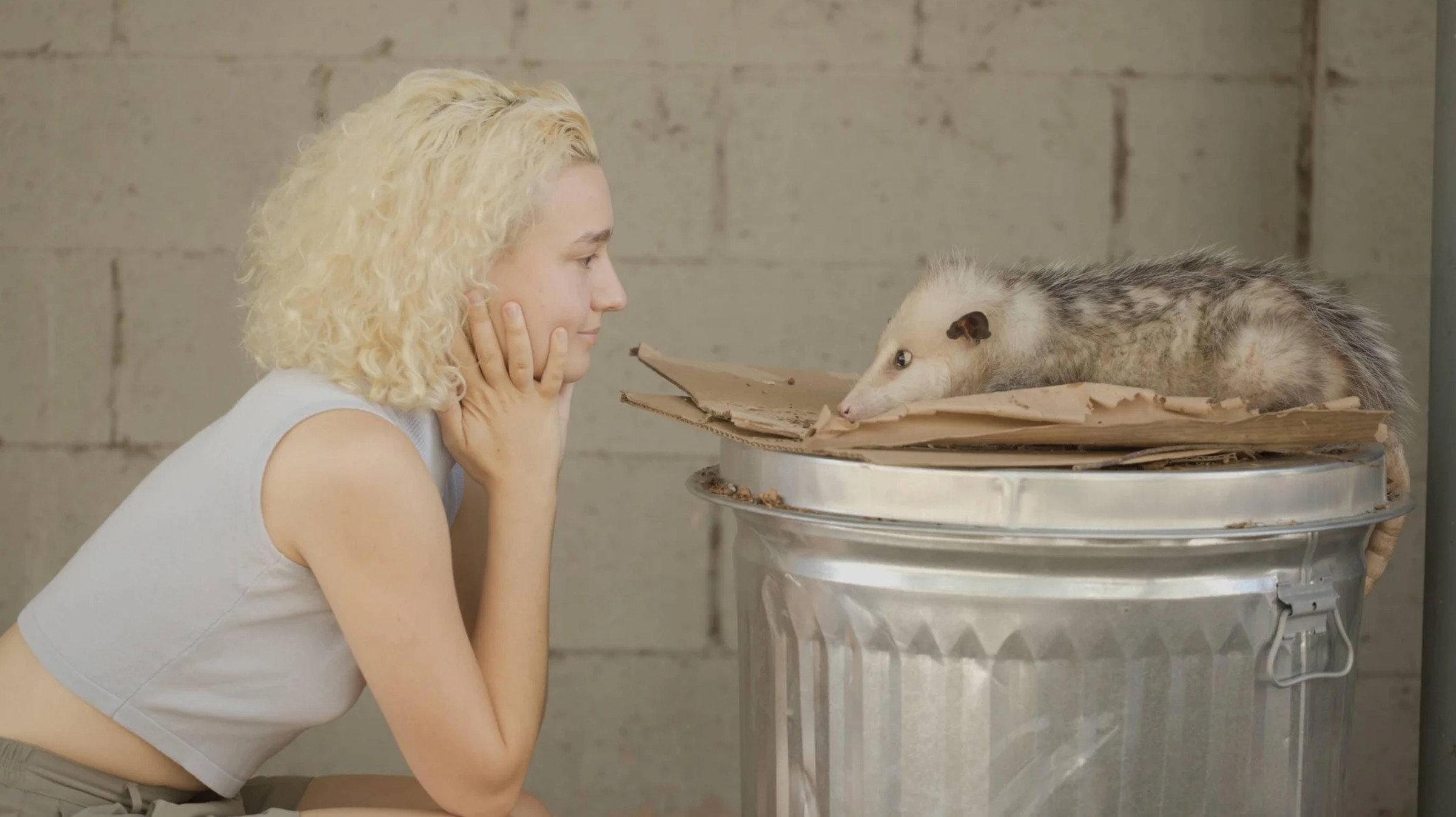 Beethoven's Great Great Great Great Great Grandchild 2025 movie scene