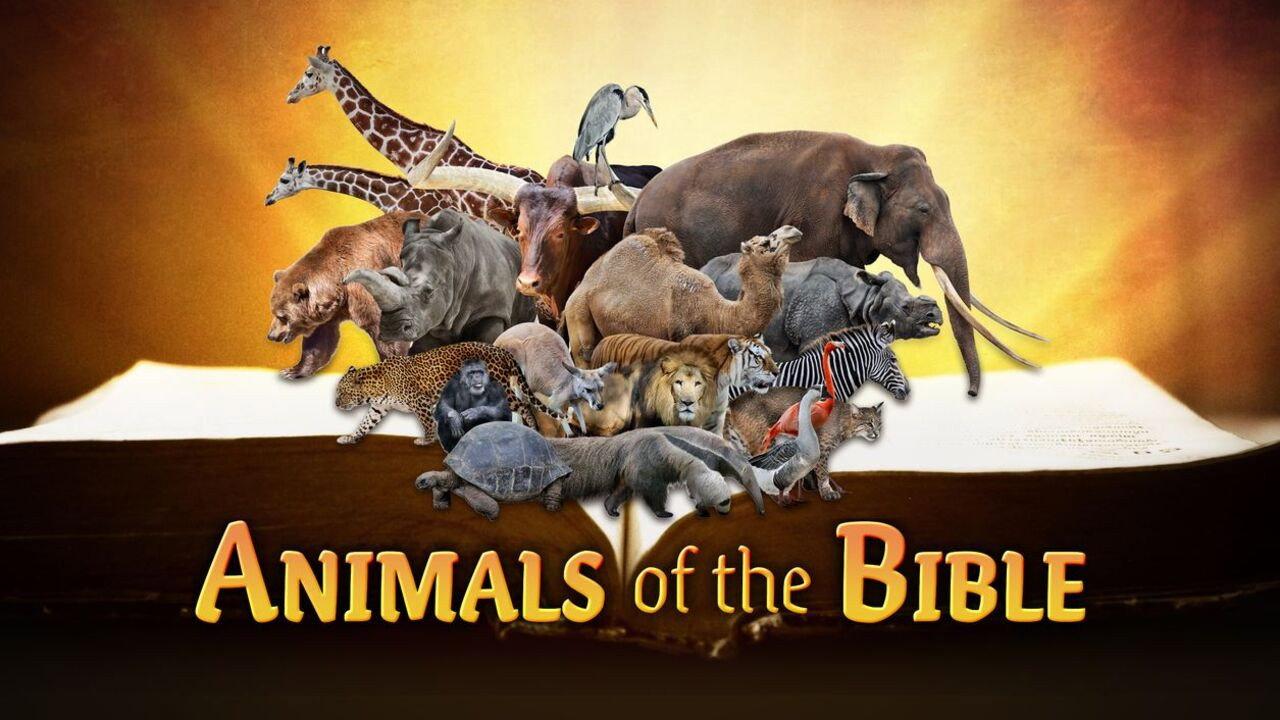 Animals of the Bible  movie scene