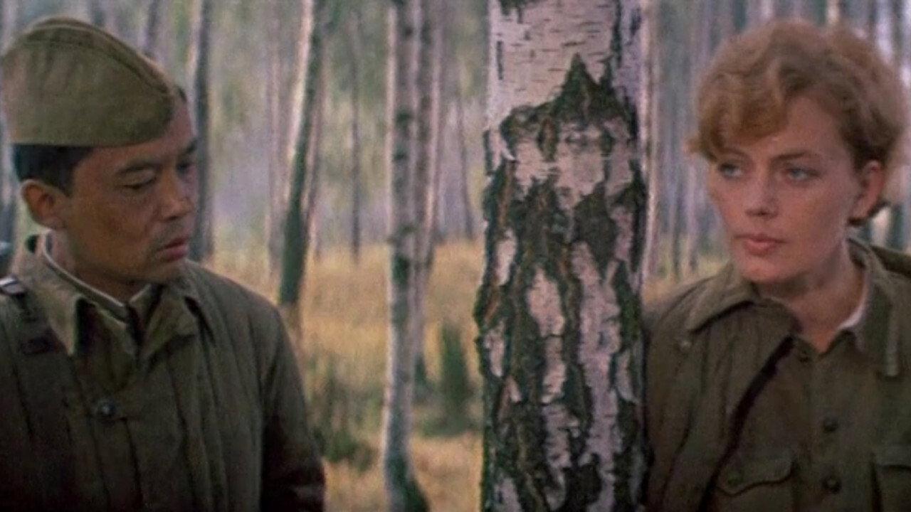 A Secret Walk in the Woods 1985 movie scene